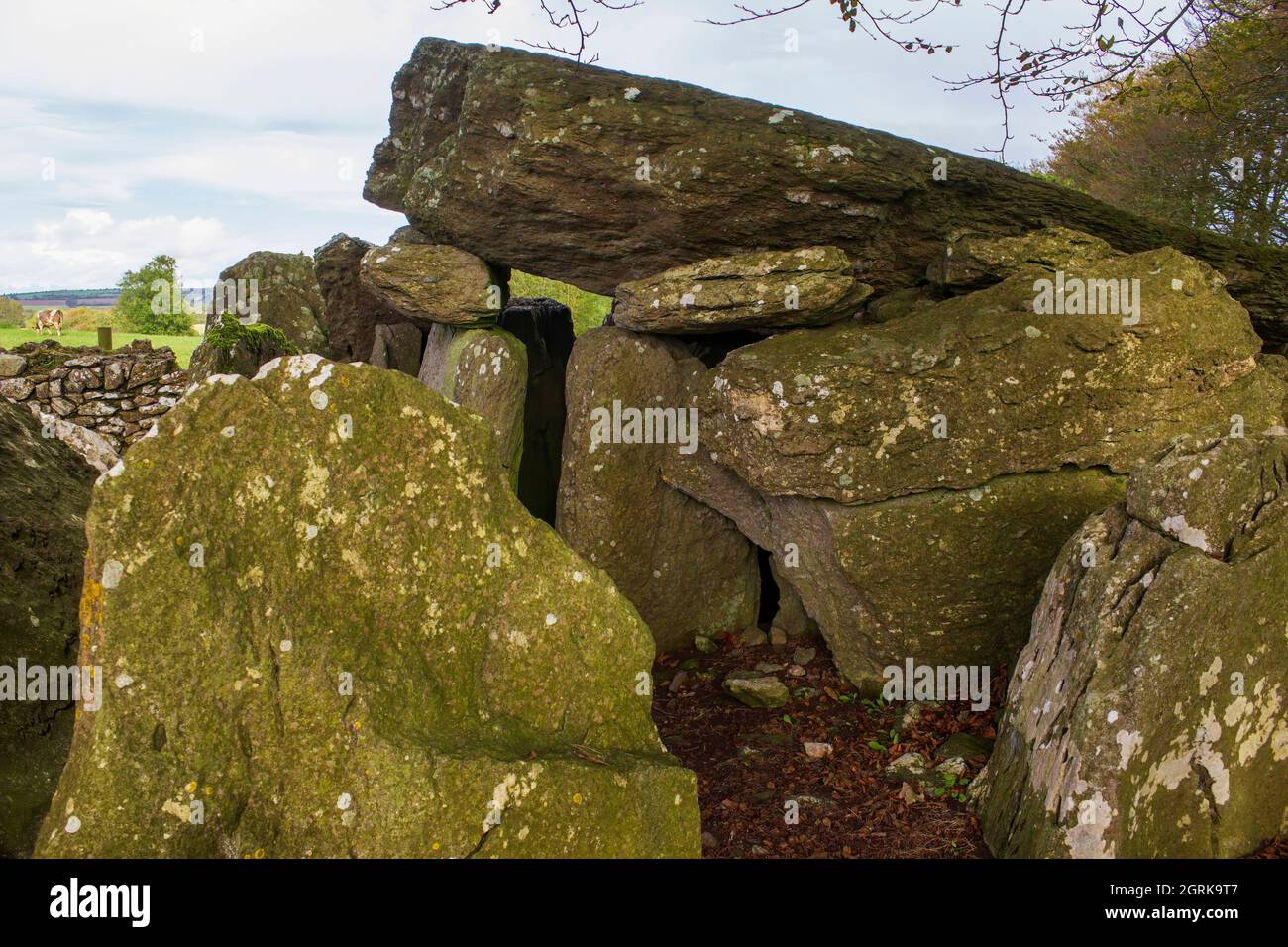 Dieses Keilgrab ist das größte keilförmige Galerie-Grab in der Grafschaft Cork, Irland. Stockfoto