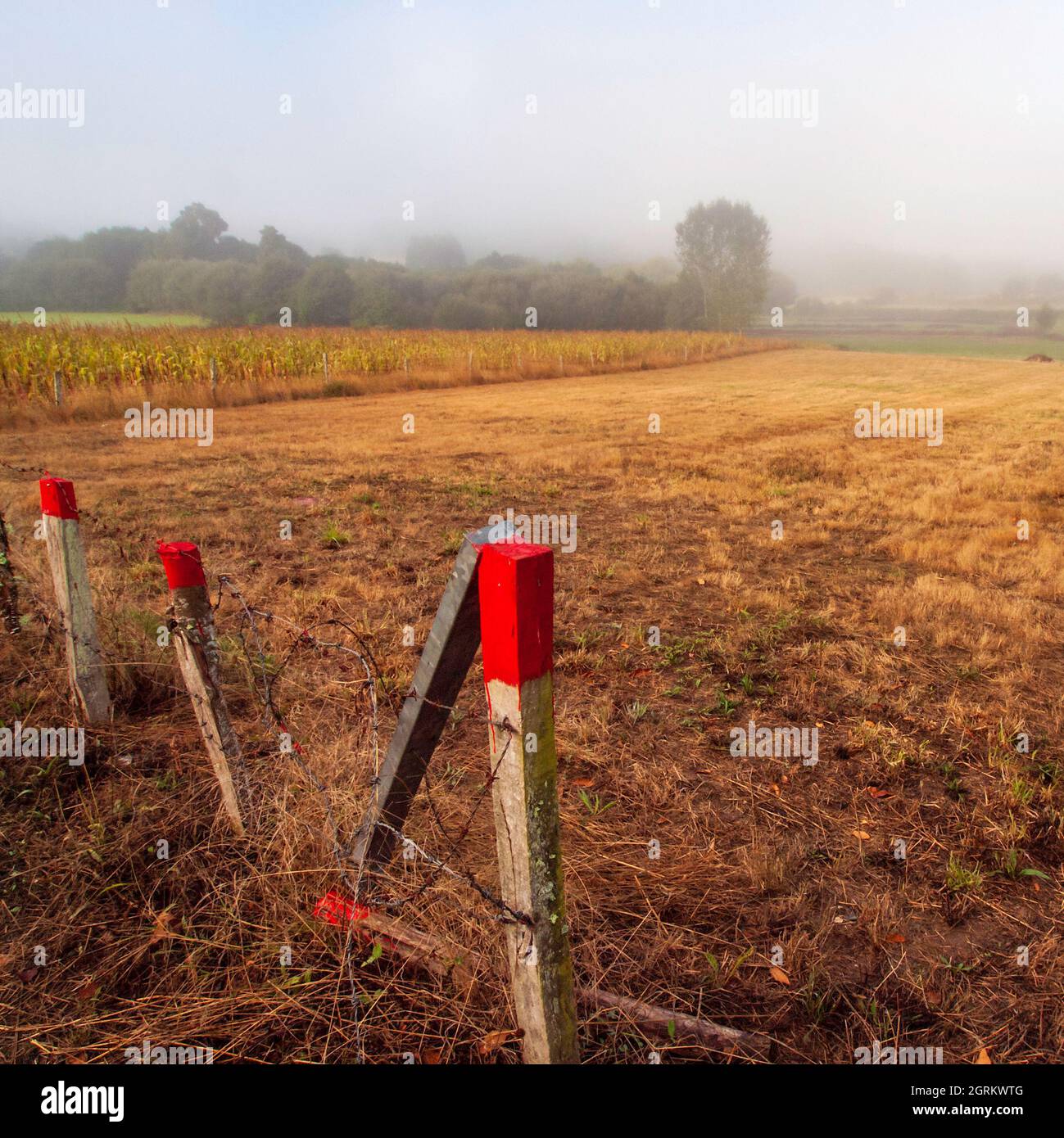 Typisch galizische Landschaft mit Nebel bei Sonnenaufgang Stockfoto