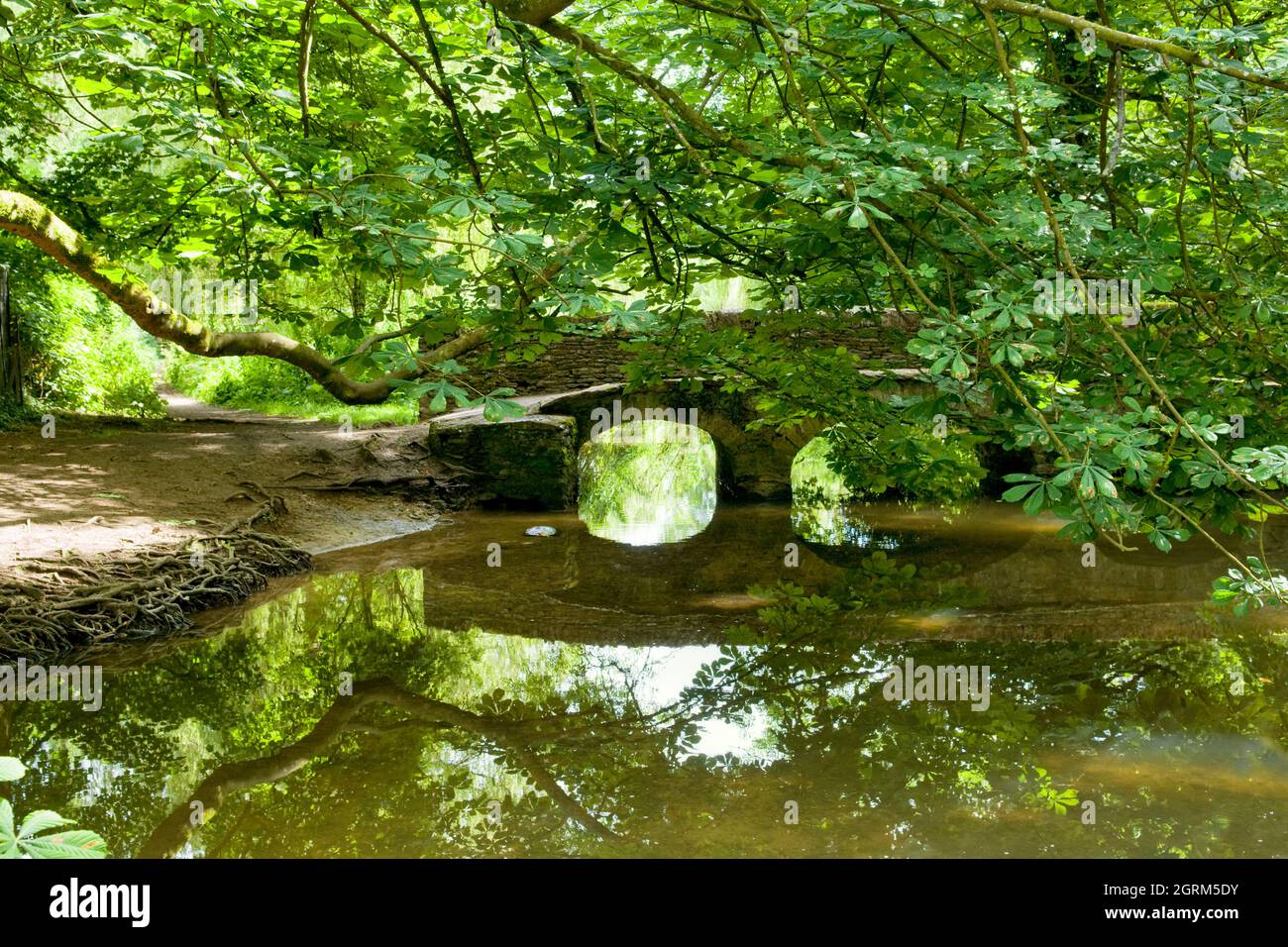 Am Brook und einer kleinen Fußgängerbrücke im schönen malerischen Dorf Castle Combe in den Cotswolds, großbritannien, aufgenommen im Sommer Stockfoto