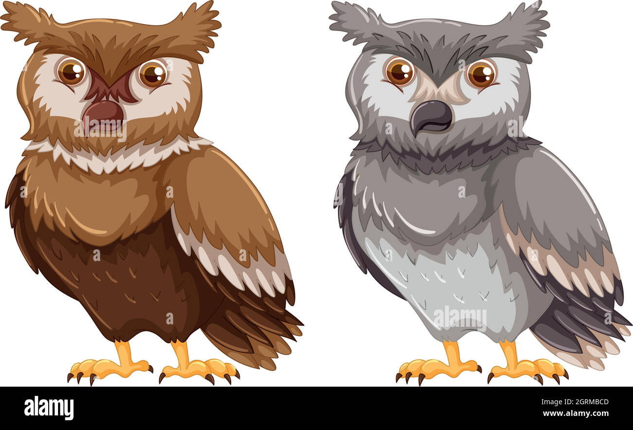 Zwei Eulen mit grauer und brauner Feder Stock Vektor