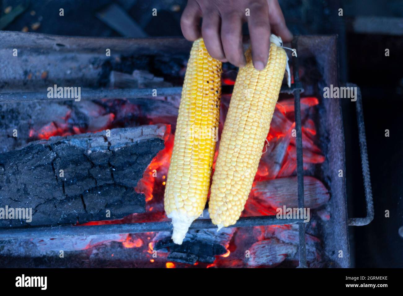 Mais, Mais, gebratener Mais, gerösteter Mais Stockfoto
