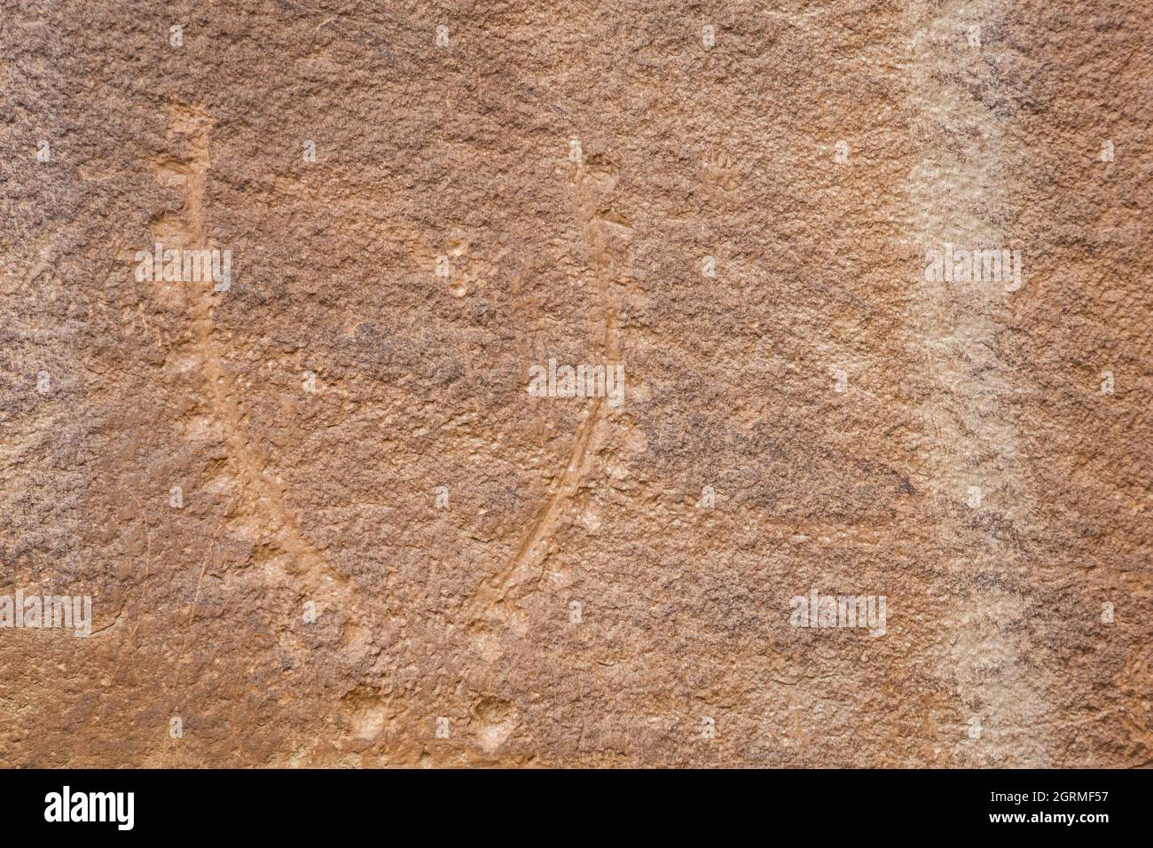 Nahaufnahme der Felszeichnungen an einer Canyon-Wand im Capitol Reef National Park in Utah Stockfoto