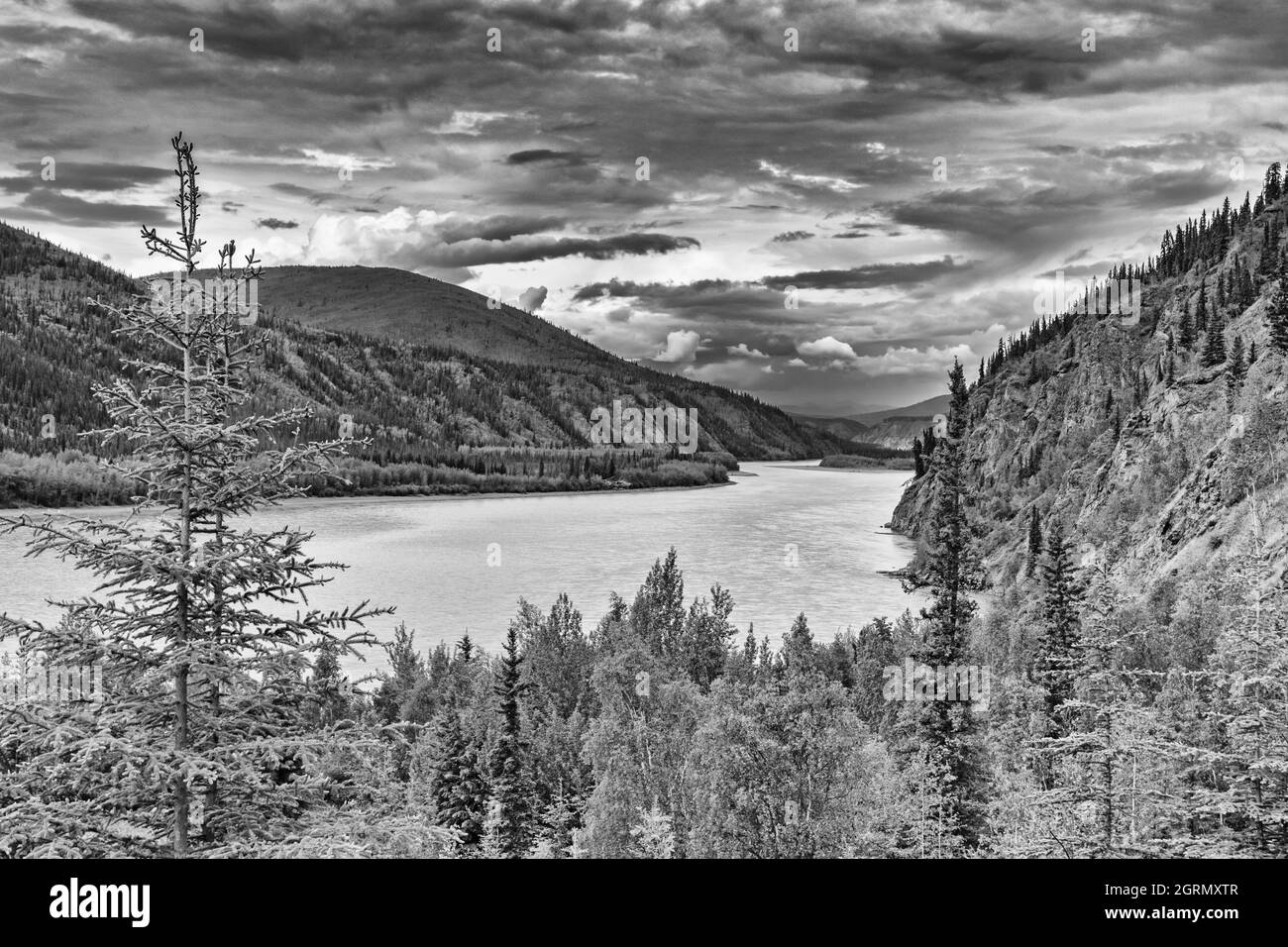 Kanada, Yukon Territory, Dawson City, Yukon River, Blick vom 9th Avenue Trail, monochrom Stockfoto