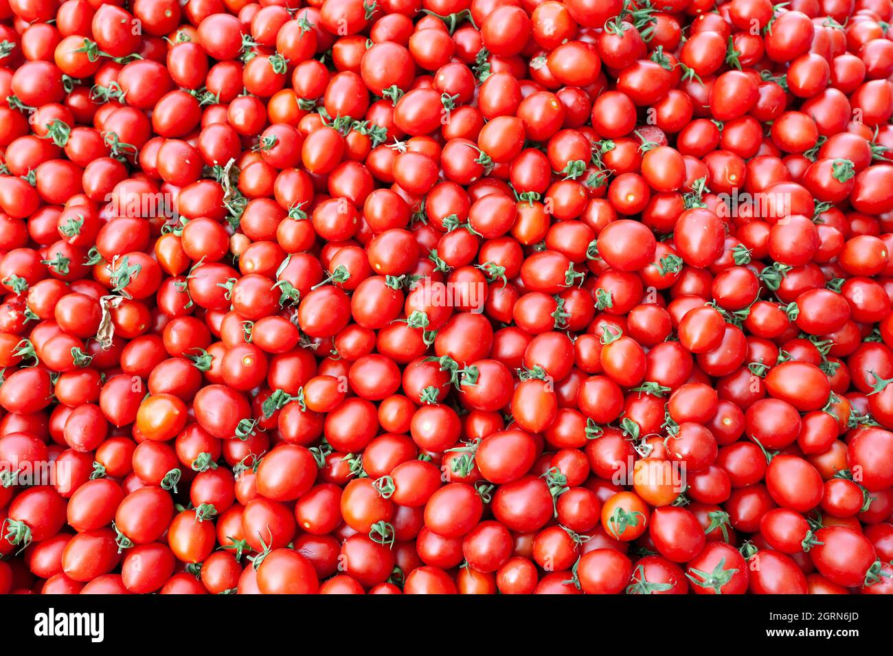 Obst, Tomaten, Tomaten, Bio Stock Foto Stockfoto