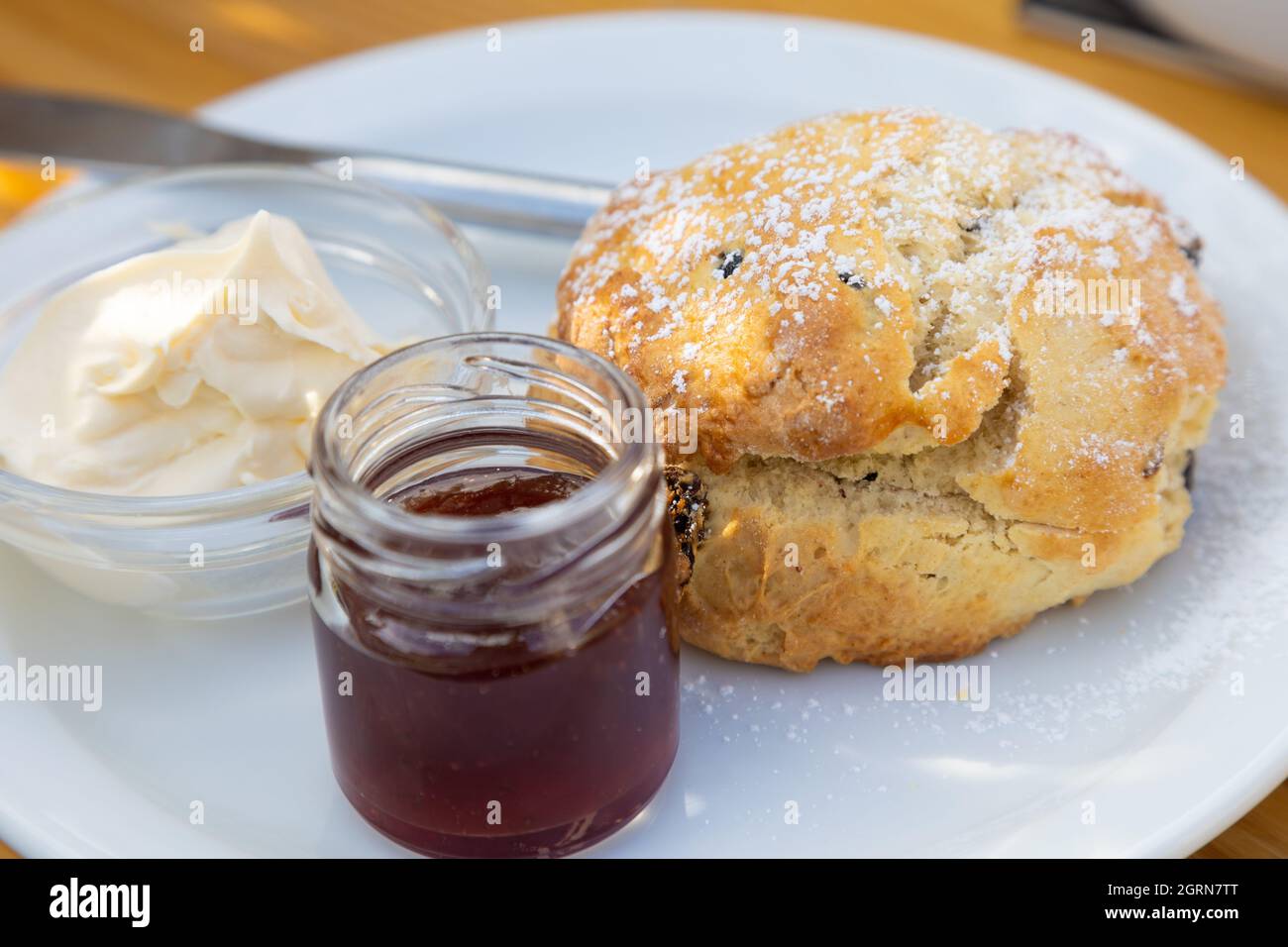 Ein Scone auf einem weißen Teller mit Marmelade und Creme auf der Seite. Stockfoto