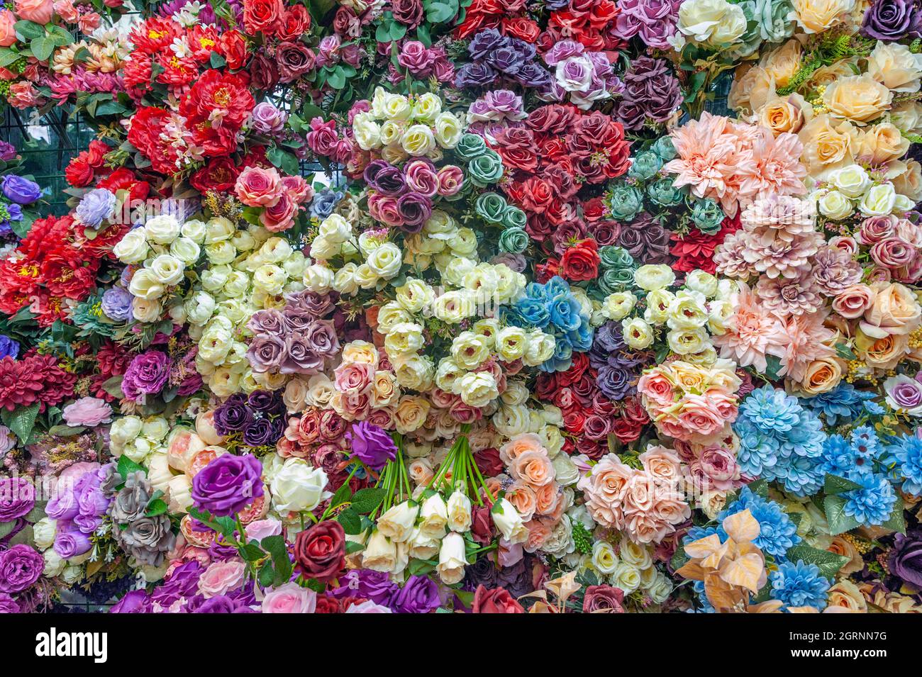 Blumengarten, Parterre, Blumen, wunderschöner Frühling. Stockfoto