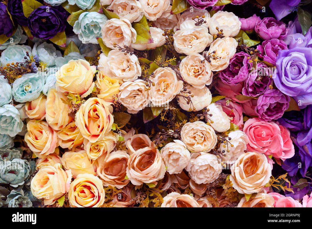 Blumengarten, Parterre, Blumen, wunderschöner Frühling. Stockfoto