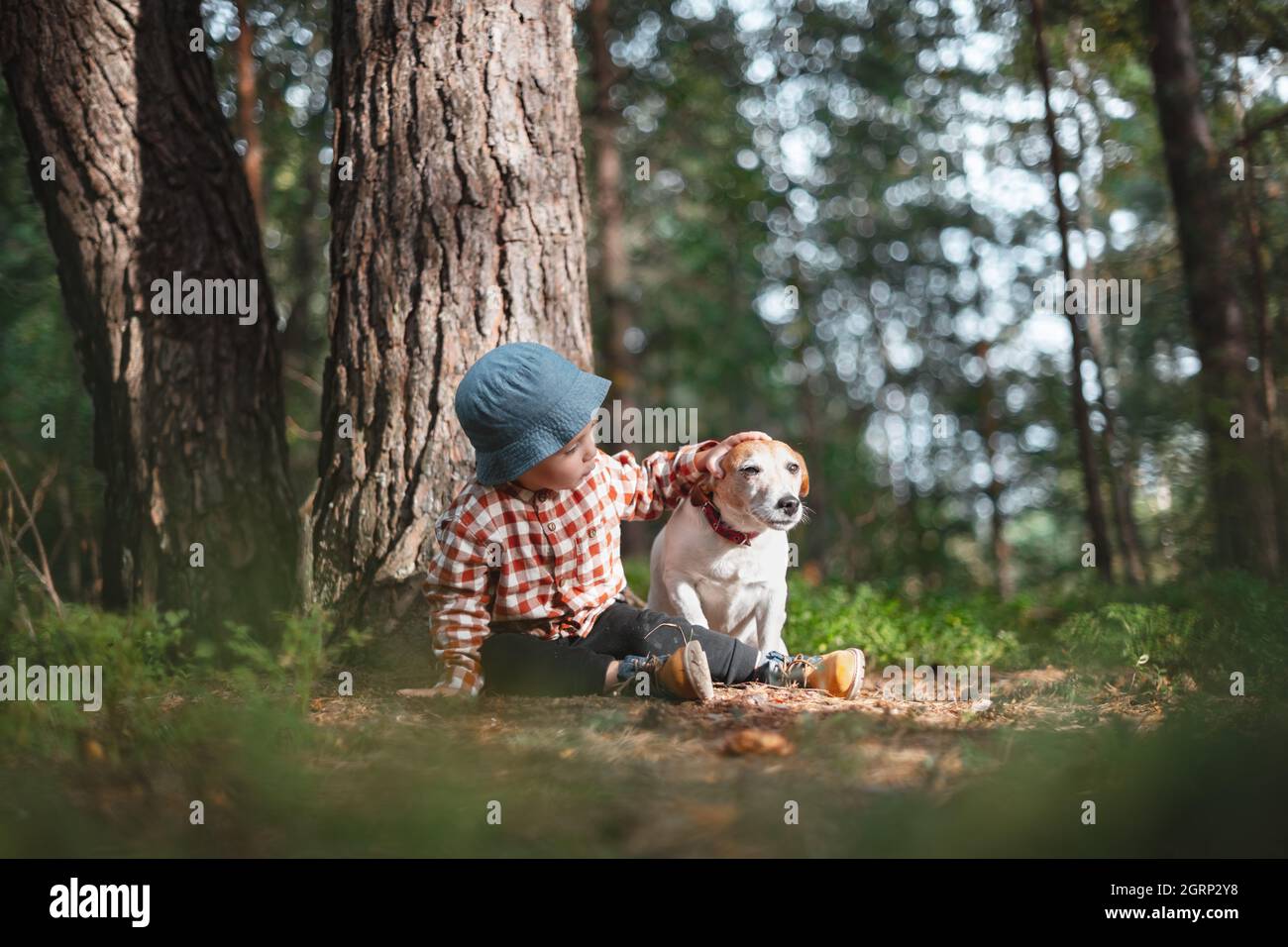 Kleines Kind in blauer Mütze mit weißem Hund Welpen Rasse Jack russel Terrier im Herbstwald. Kindheit mit Haustieren Konzept Stockfoto