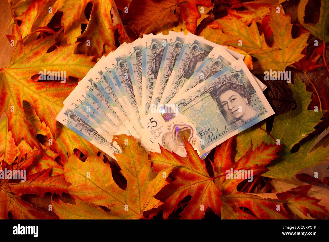 Herbstlaub und britisches Geld Stockfoto