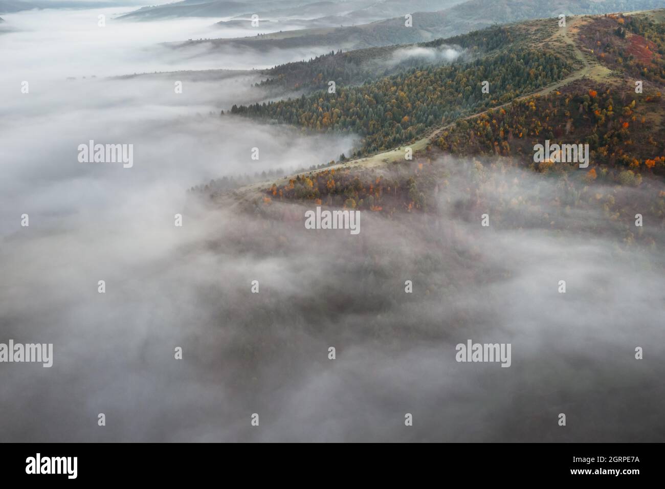 Erstaunlich fließender Morgennebel in den Herbstbergen. Wunderschöner Sonnenaufgang im Hintergrund. Landschaftsfotografie Stockfoto