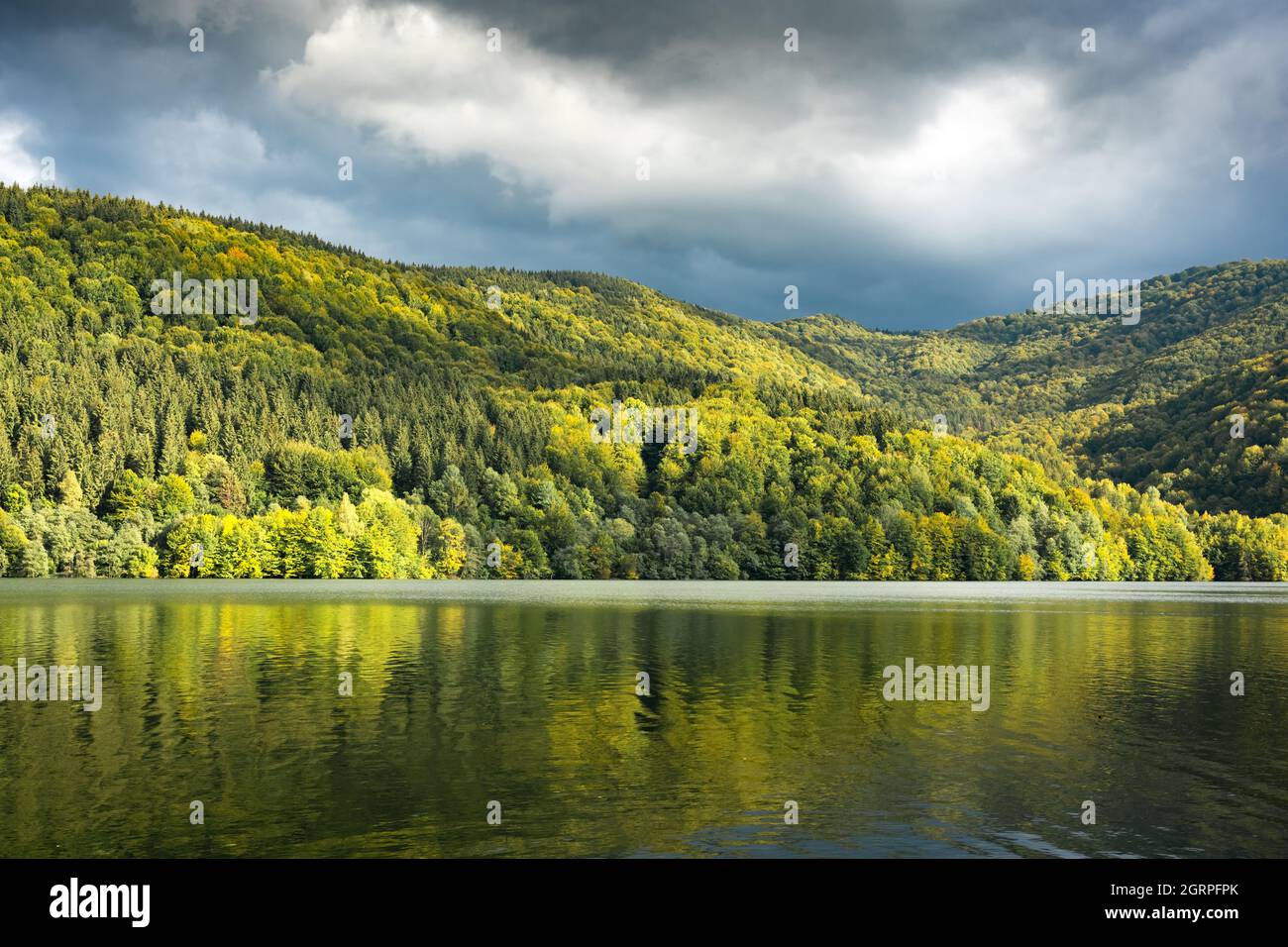 Malerische Landschaft mit klarem See und Herbstwald an seiner Küste. Terebland-Ritske Stausee (Vilshanske) am Terebland-Fluss, Transkarpatien, Ukraine Stockfoto