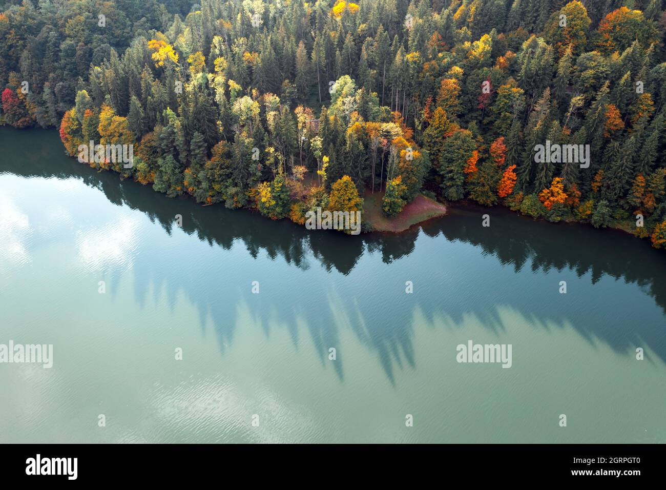Luftaufnahme auf See mit türkisfarbenem Wasser in den Karpaten. Herbstwald mit Orangenbäumen an der Küste. Terebland-Ritske Stausee (Vilshanske) am Terebland-Fluss, Transkarpatien, Ukraine Stockfoto