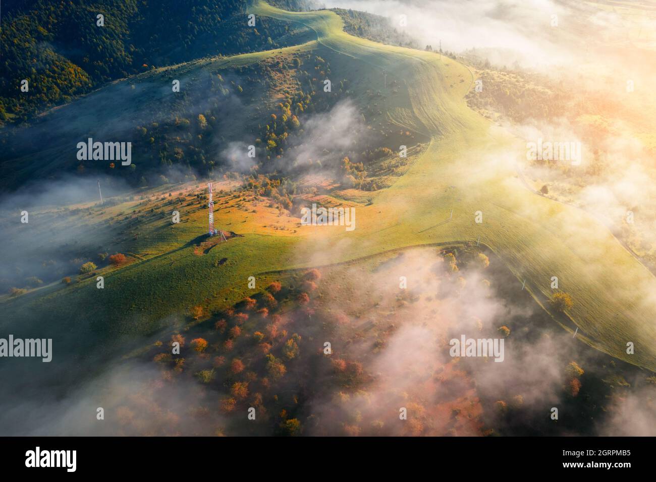 Erstaunlich fließender Morgennebel breitet sich in den Herbstbergen über grüne Wiesen aus. Ukrainische Karpaten. Landschaftsfotografie Stockfoto
