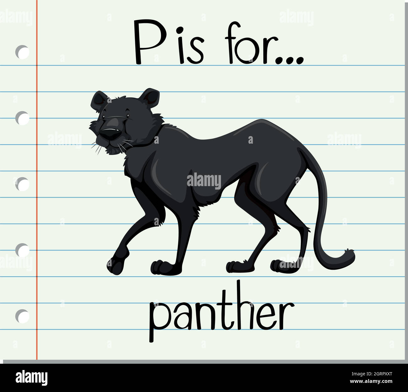 Der Buchstabe P der Flashcard ist für Panther Stock Vektor