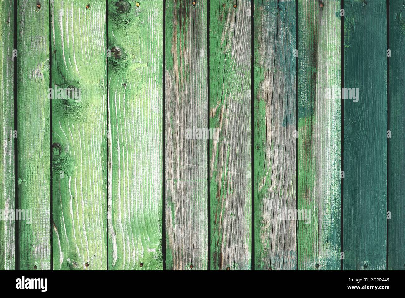 Alte hölzerne Grunge-Platte in verschiedenen Grüntönen lackiert. Natürliche Textur. Kann wie ein Naturhintergrund verwendet werden Stockfoto