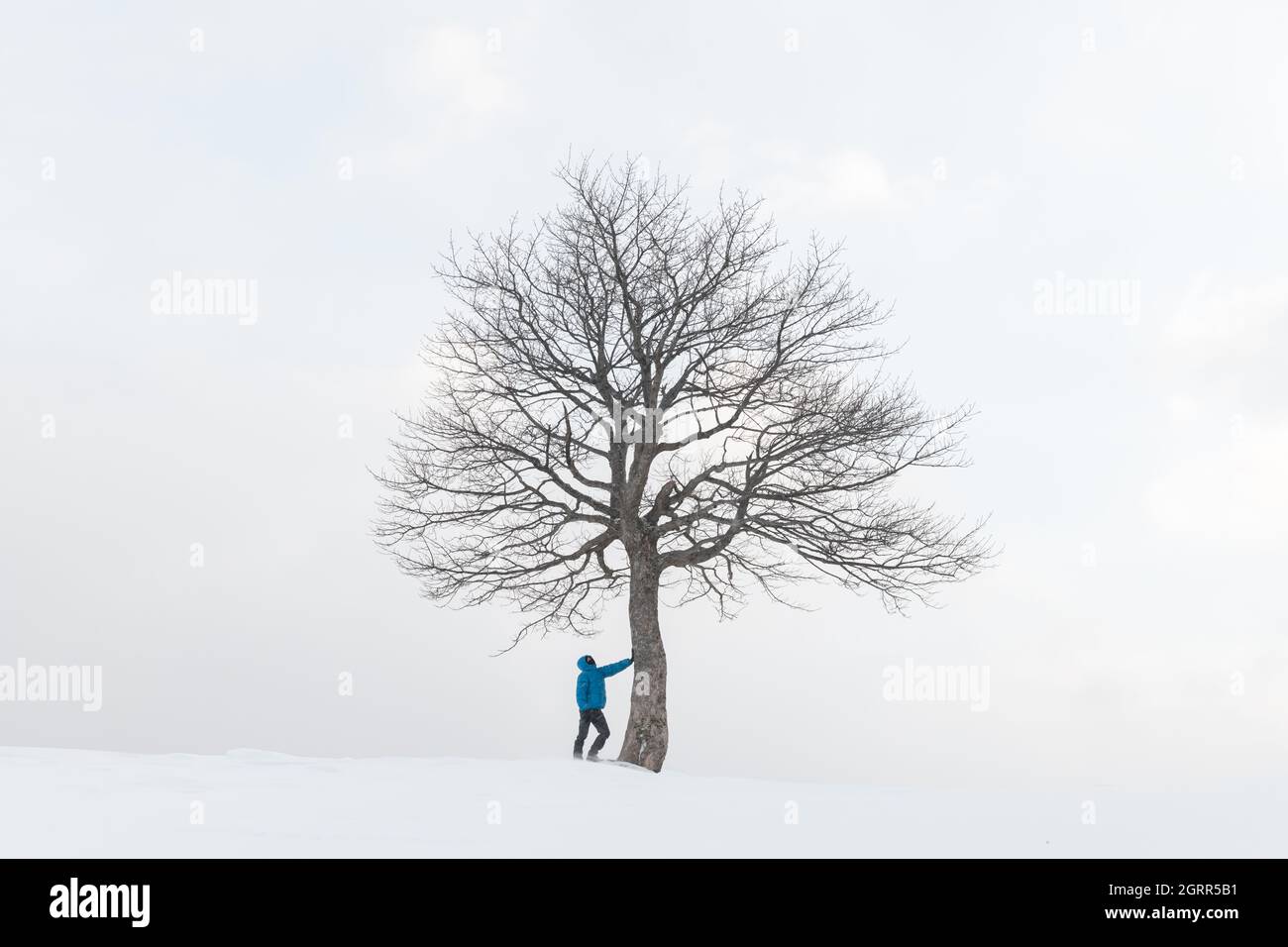 Erstaunliche Landschaft mit einem Mann in der Nähe von einsamen schneebedeckten Baum in einem Winterfeld. Minimalistische Szene bei bewölktem und nebligen Wetter Stockfoto