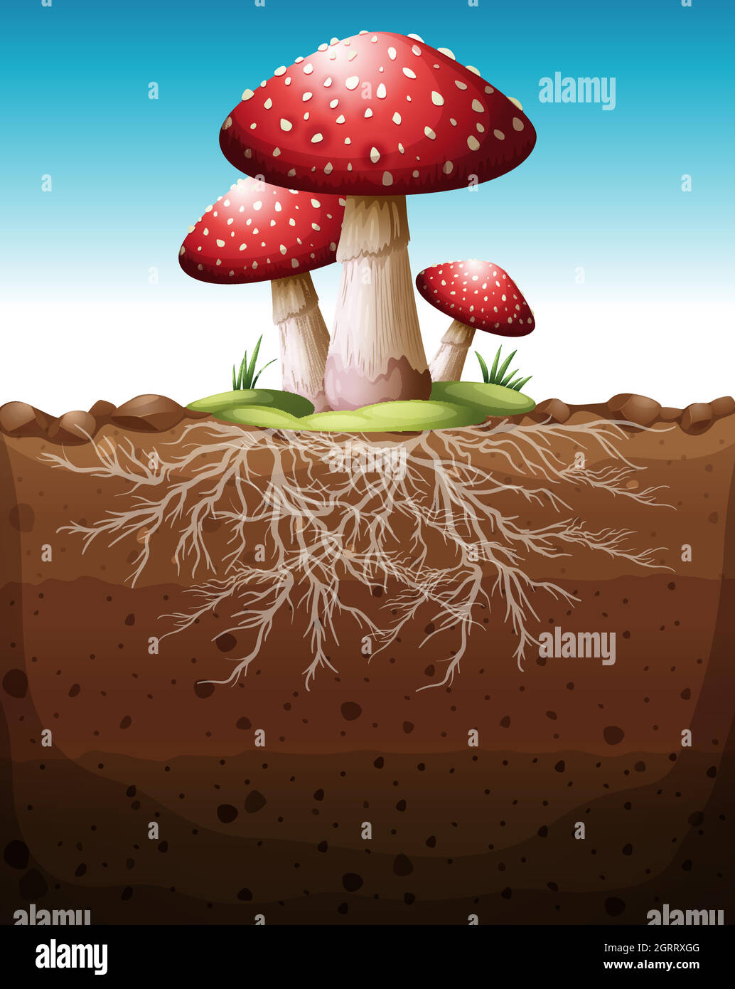 Roter Pilz wächst vom Boden aus Stock Vektor