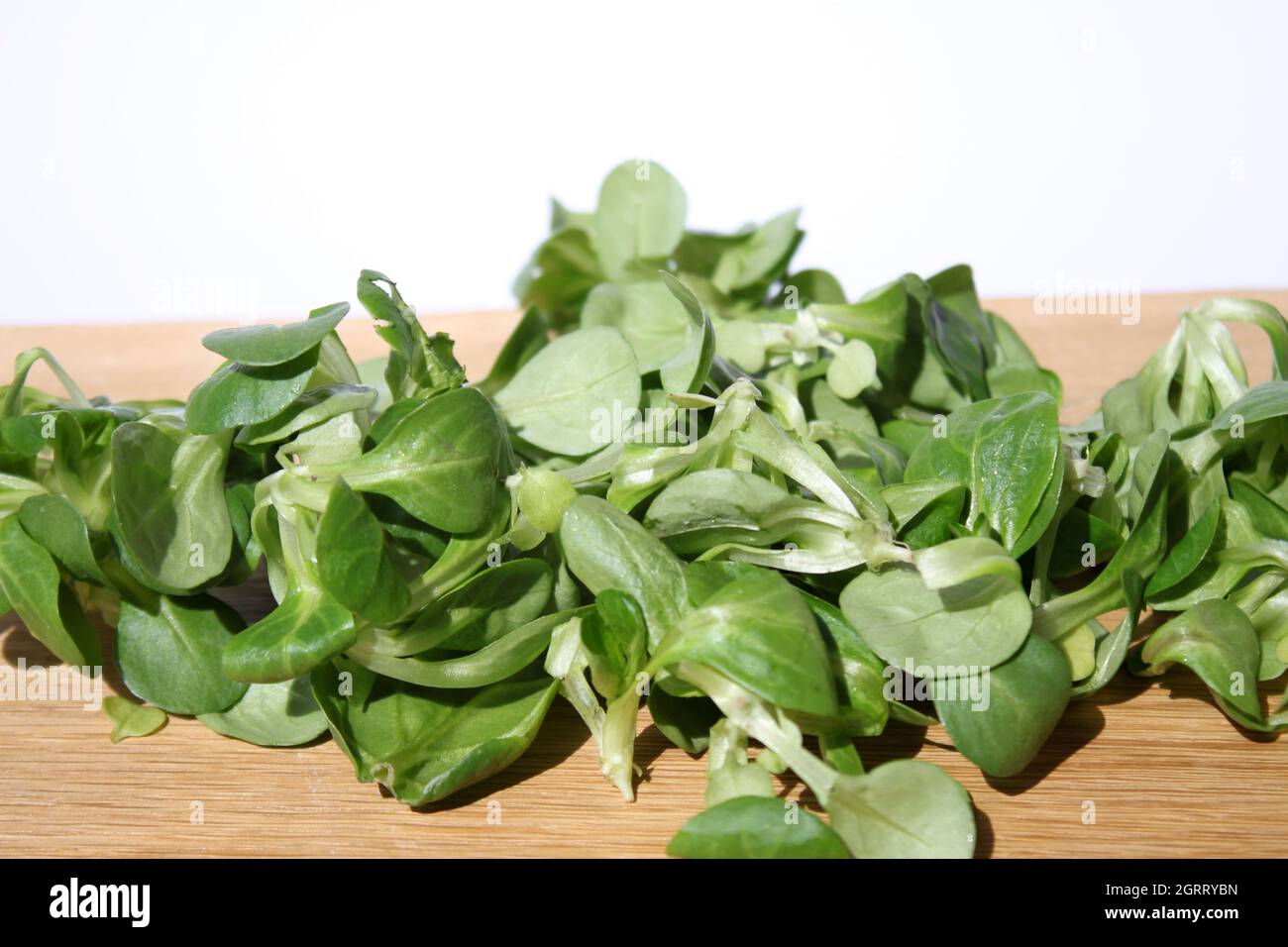 Valerianella locusta auf Holztisch Stockfoto