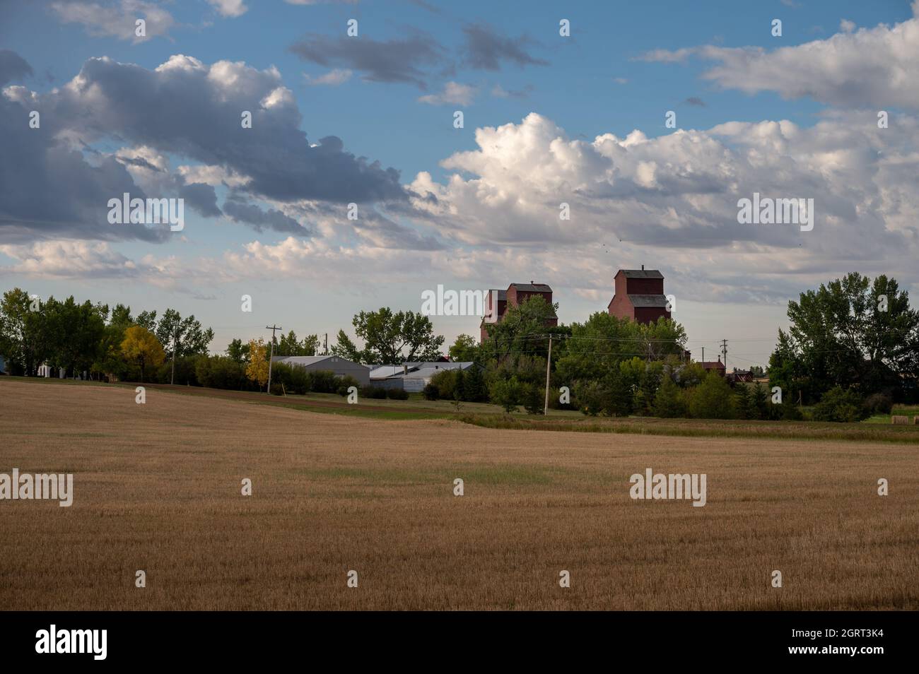 Getreideaufzüge in einer kleinen ländlichen Stadt in Alberta. Stockfoto