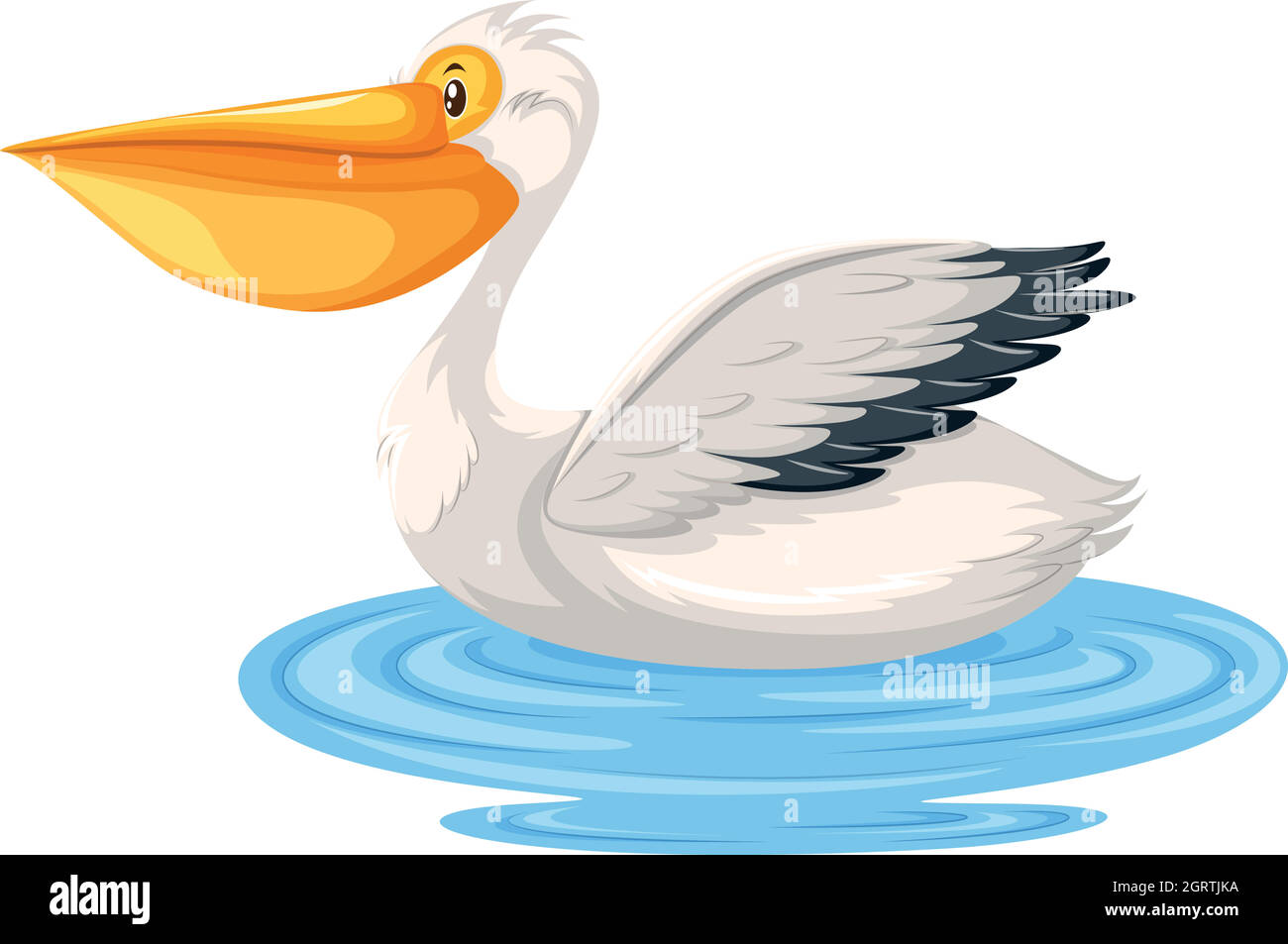Ein Pelikan im Wasser Stock Vektor