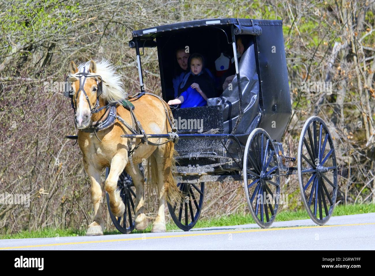 FAMILIE AMISH PFERD UND KUTSCHE IN ASHTABULA COUNTY, OHIO, USA Stockfoto