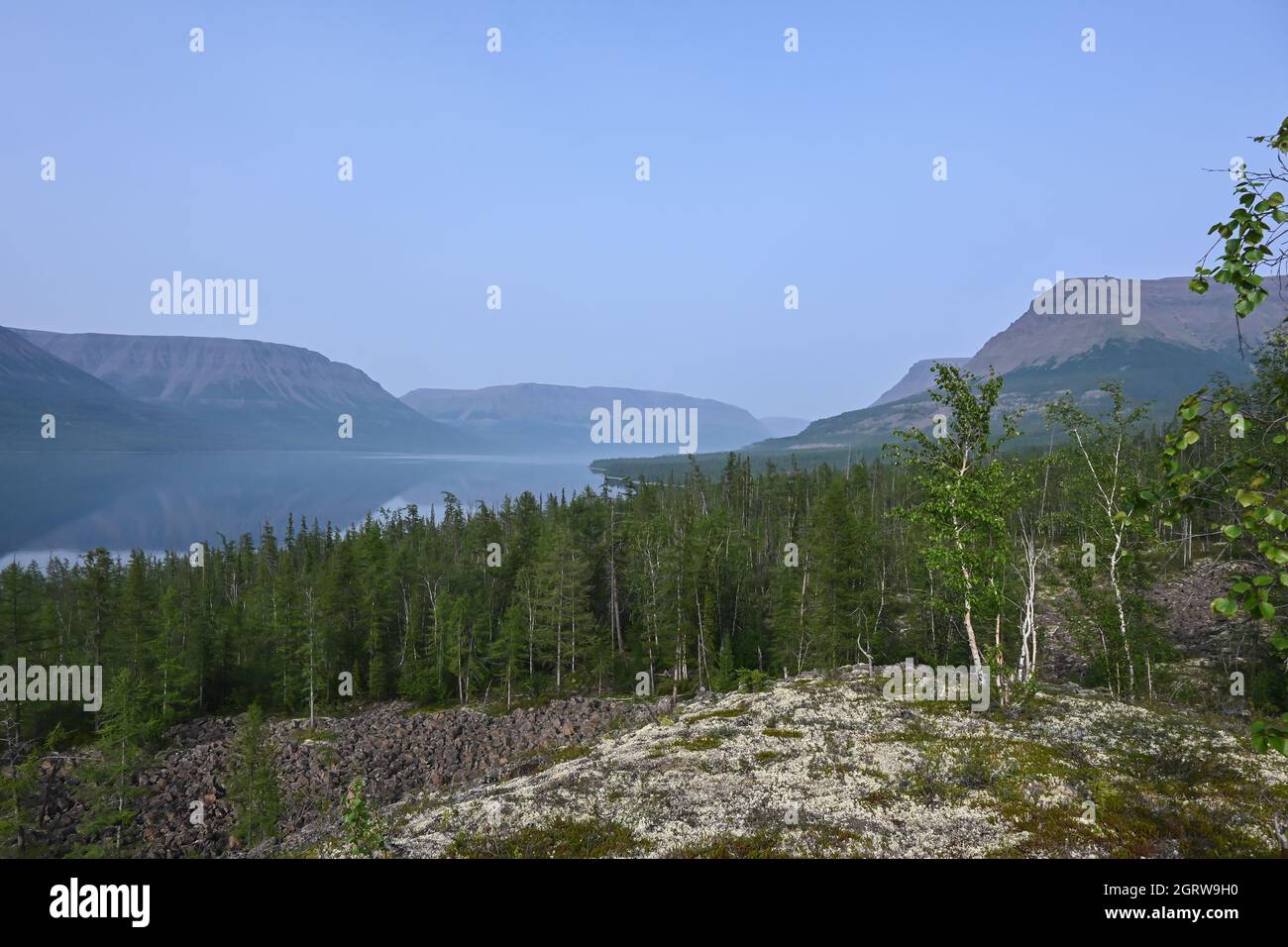 Berg Taiga auf der Putorana Plateau. Sommer wald landschaft in Ostsibirien. Stockfoto