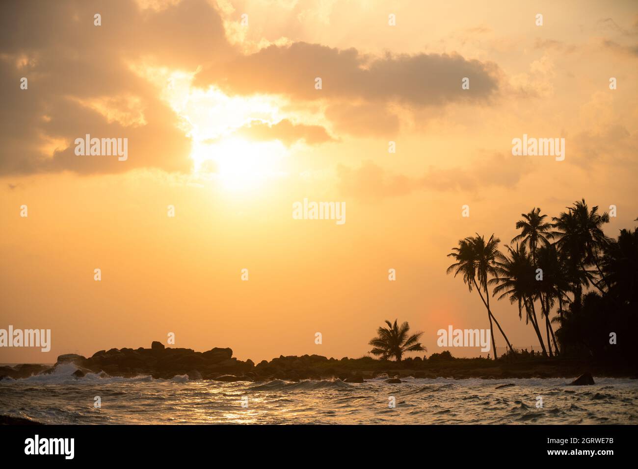 Dunkle Silhouetten von Palmen und erstaunlich wolkiger Himmel bei Sonnenuntergang auf Sri Lanka. Stockfoto