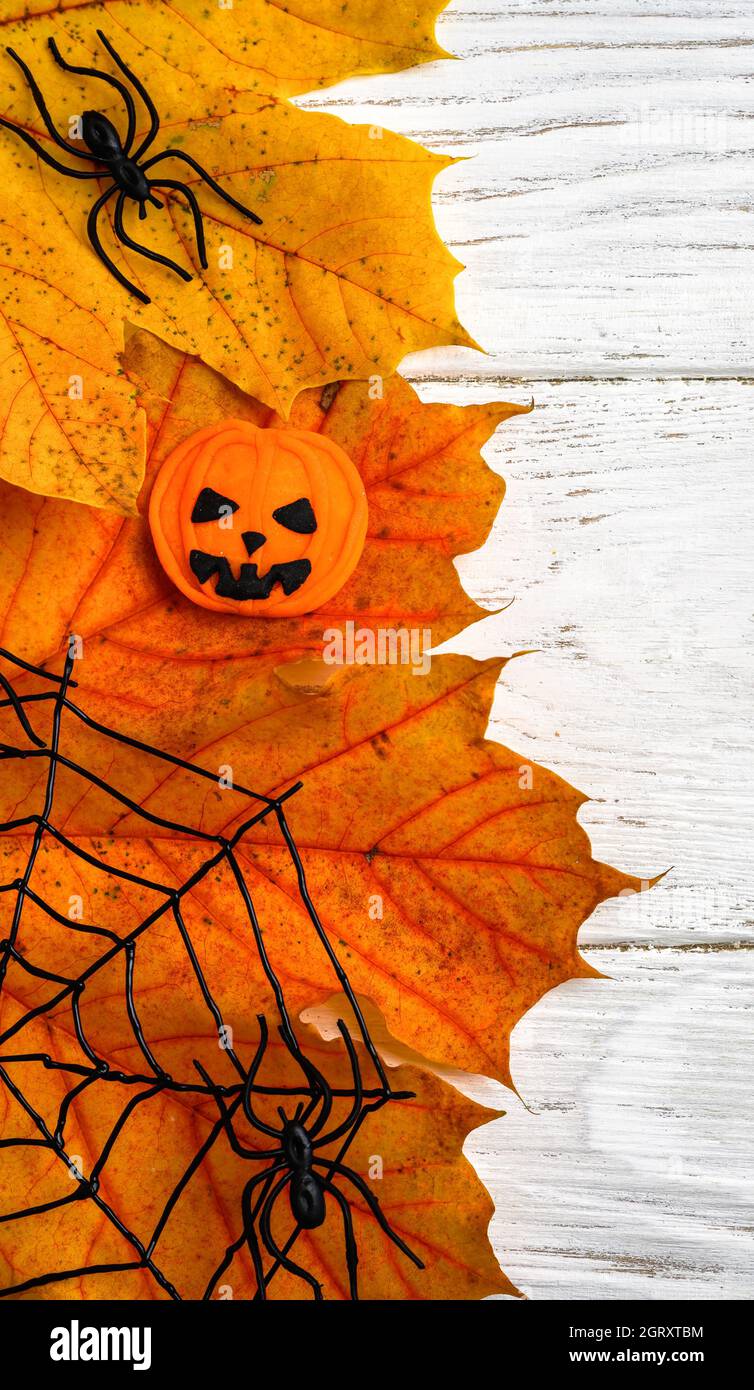 Halloween-Objekte auf weißem Holztisch, vertikale Draufsicht auf Herbst-Ahornblätter und Spinnen, flach liegend. Natur orange Halloween Dekorationen auf Licht BA Stockfoto