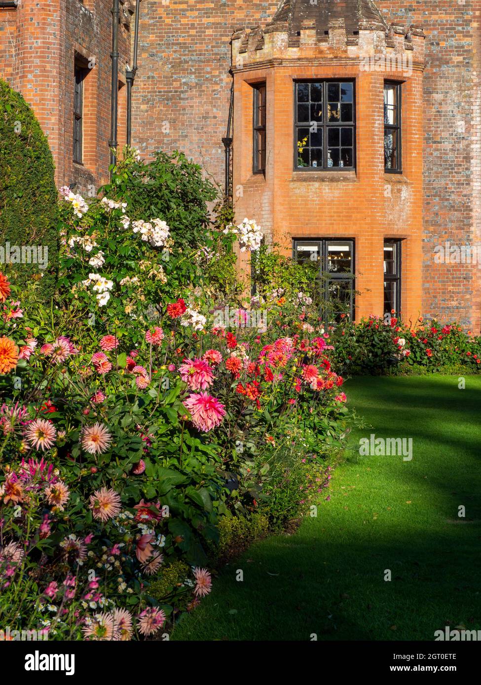 Herrenhaus Chenies im Herbst.Pflanzengrenze mit großen orangefarbenen und rosa Dahlien Blüten führen den Blick auf die Erkerfenster des Tudor Herrenhauses im September. Stockfoto