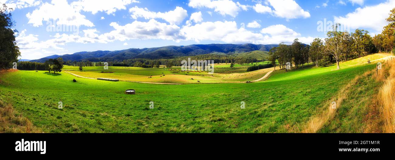 Grüne Weide auf einer abgelegenen landwirtschaftlichen Farm im ländlichen Tasmanien in Australien. Stockfoto