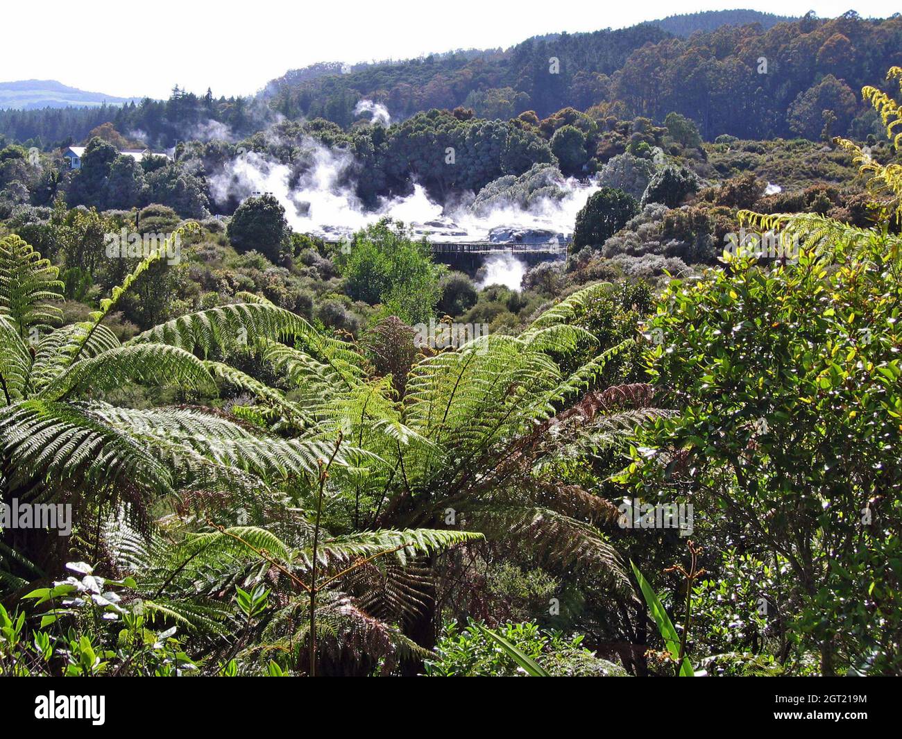 Das Whaka Valley in Rotorua, Neuseeland, ist Teil der vulkanischen Zone Taupo auf der Nordinsel. Stockfoto