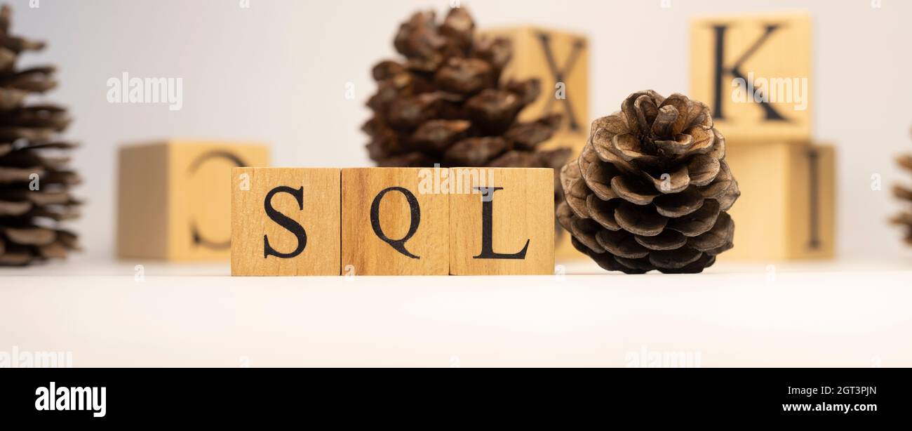 SQL wurde aus Holzwürfeln erstellt. Kieferkegel-Konzept. Konzept. Weißer Hintergrund und Nahaufnahme. Stockfoto