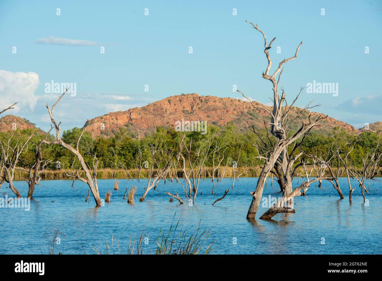 Lake Kununurra und der Ord River bei Kununurra, Westaustralien. Stockfoto