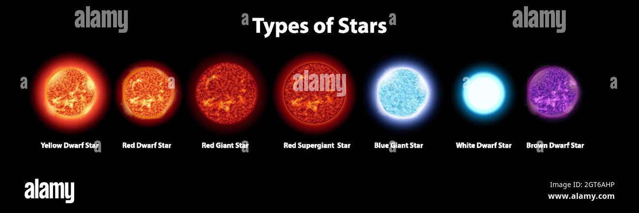 Diagramm mit verschiedenen Arten von Sternen Stock Vektor