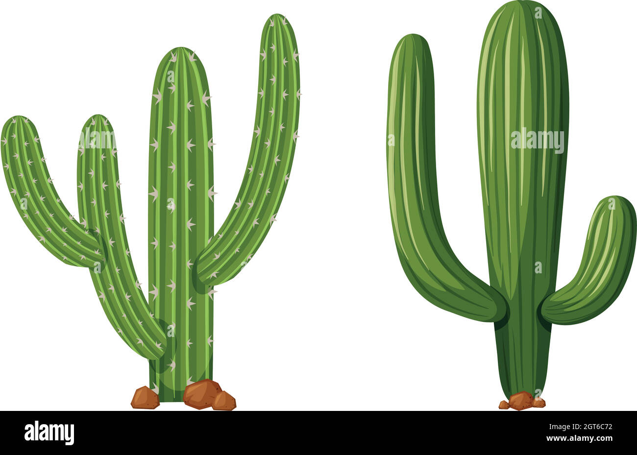 Zwei Arten von Kaktuspflanzen Stock Vektor