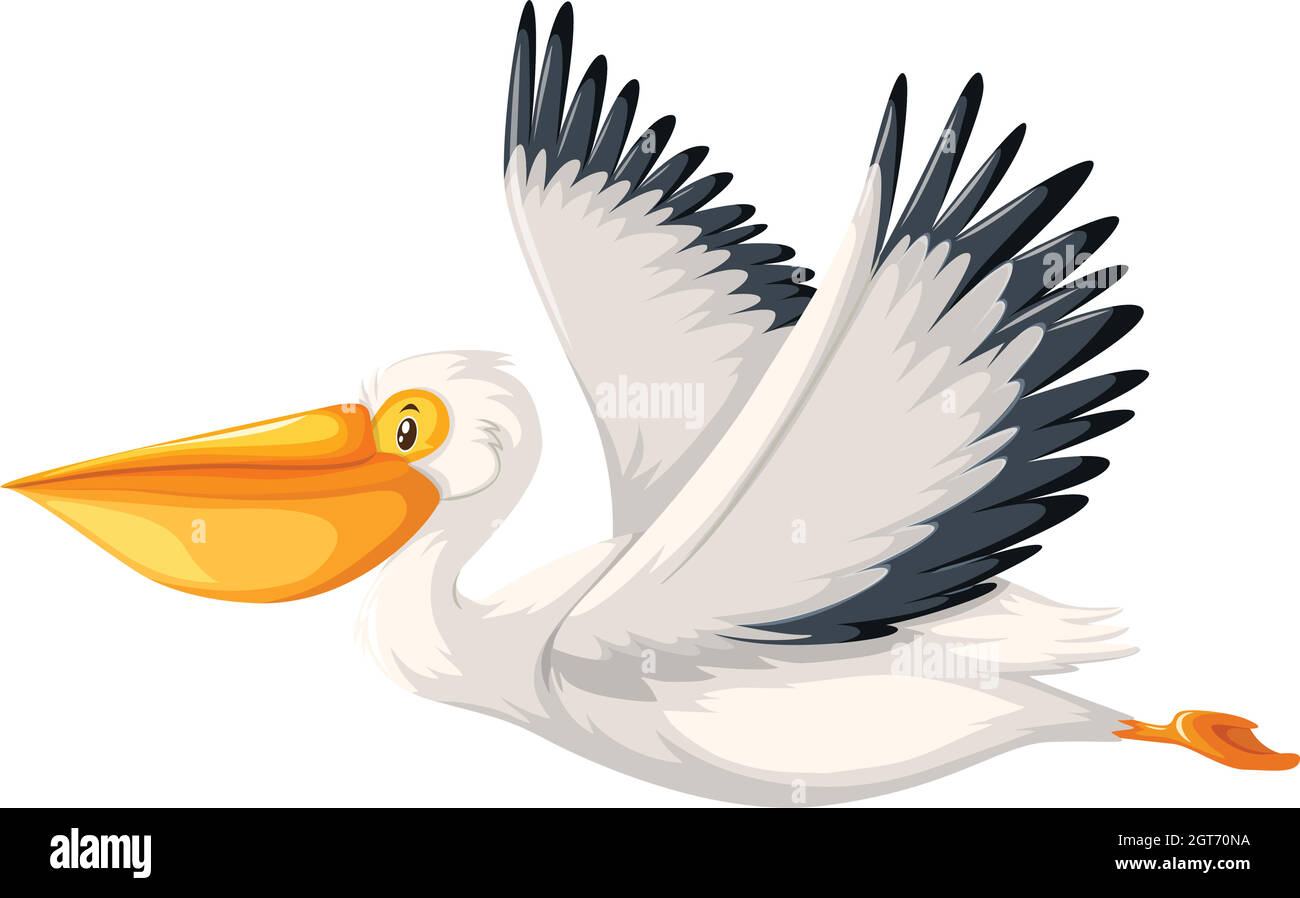 Ein pelikanisches Zeichen auf weißem Hintergrund Stock Vektor