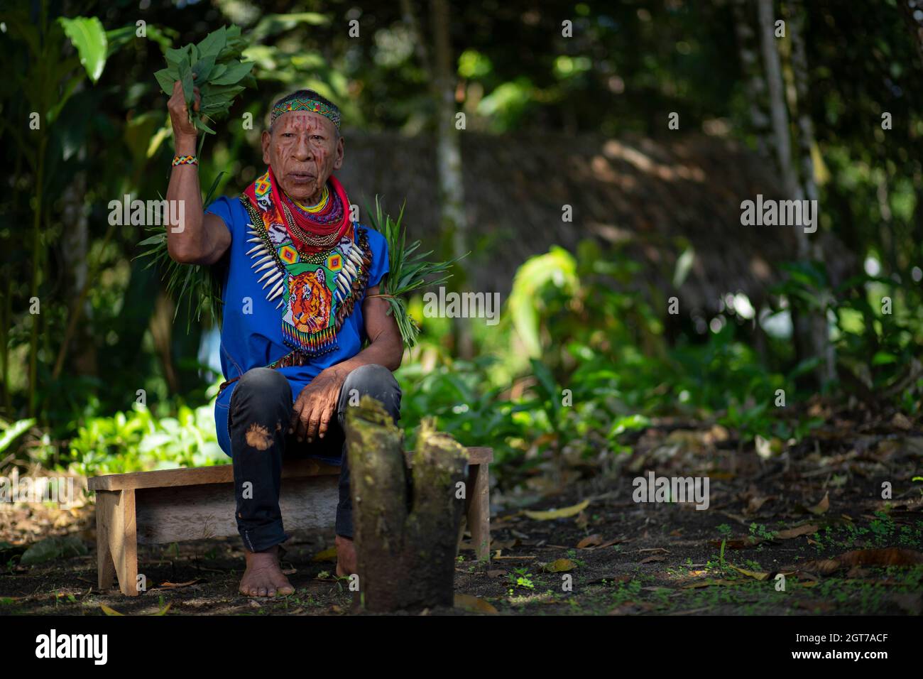 Kofana, Sucumbios / Ecuador - September 2 2020: Ein alter Schamane der Cofaner-Nationalität sitzt auf einer kleinen Holzbank und führt ein Heilungsritual durch Stockfoto
