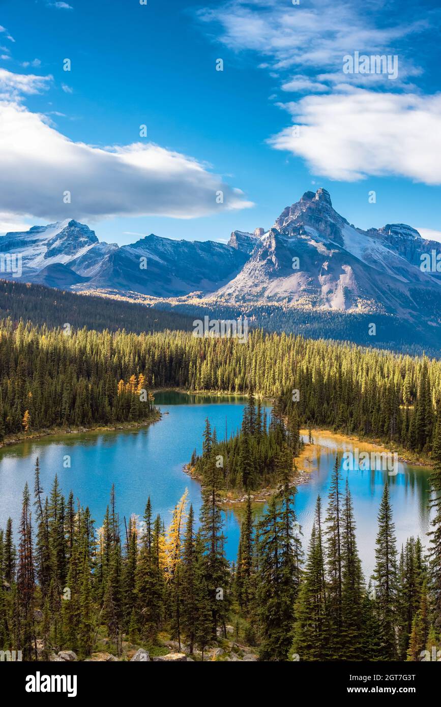 Landschaftlich schöner Blick auf den Glacier Lake mit den kanadischen Rocky Mountains im Hintergrund Stockfoto