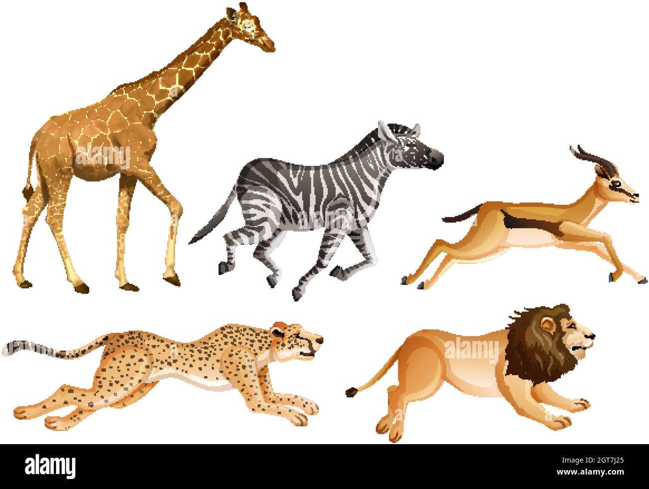 Set von Safari-Tieren auf weißem Hintergrund Stock Vektor