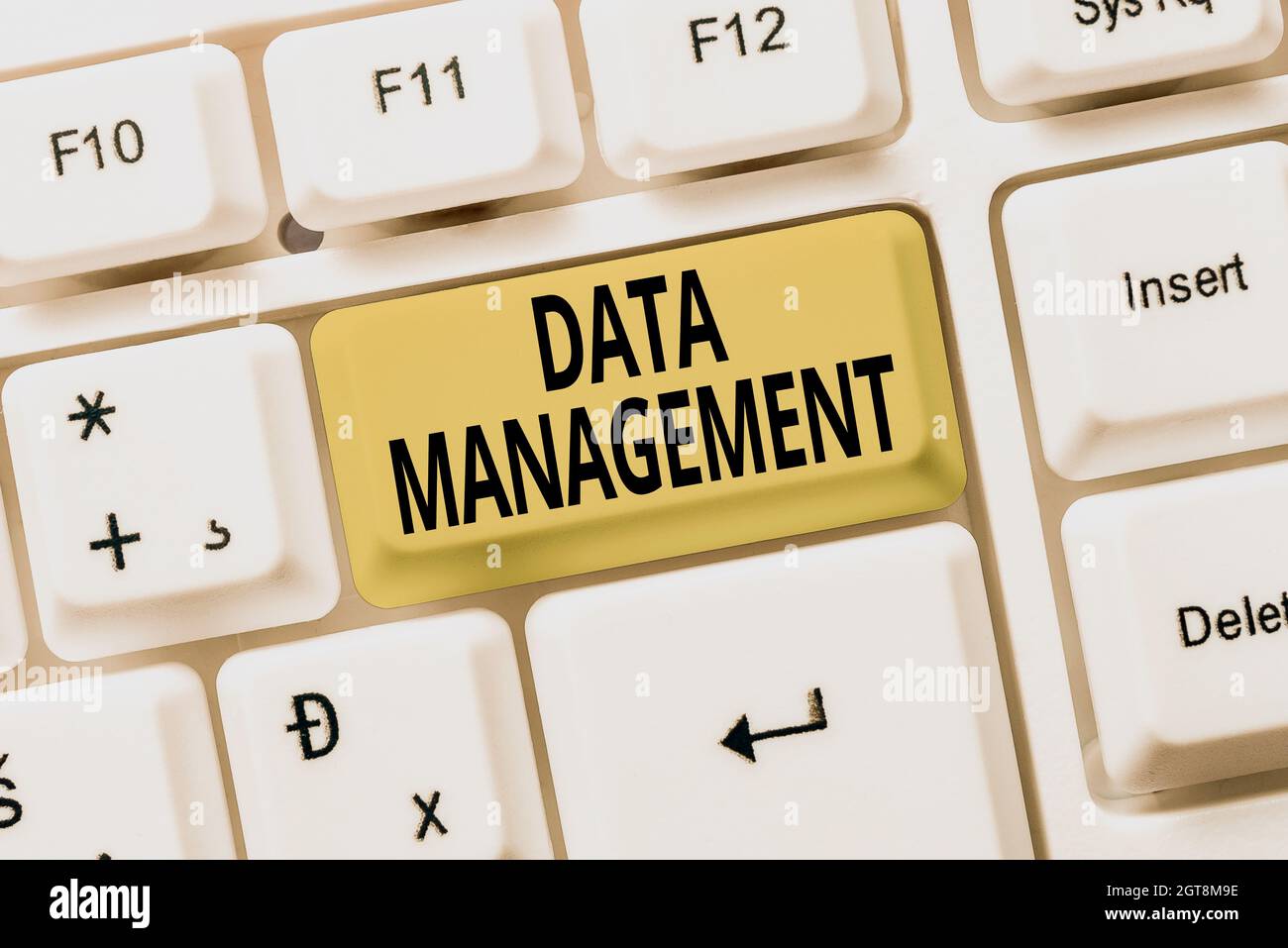 Inspiration zeigt Zeichen Data Management. Konzeptfoto die Praxis der Organisation und Pflege von Datenprozessen Ideen zur Online-Dokumentation Stockfoto