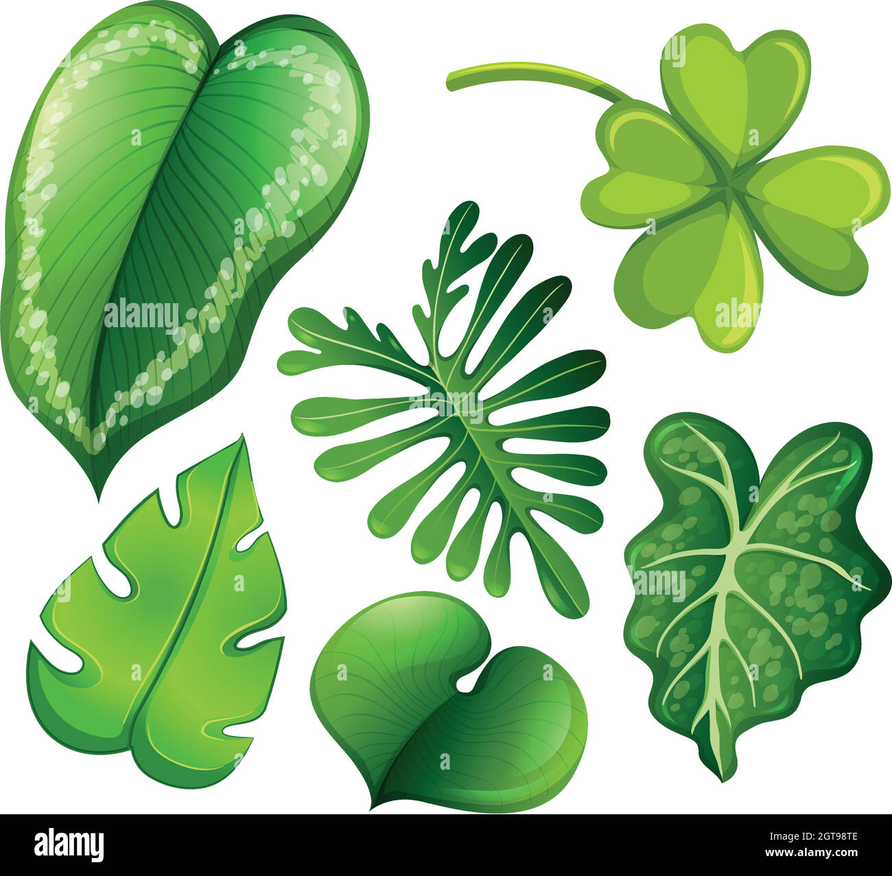 Satz von grünen Blättern Stock Vektor