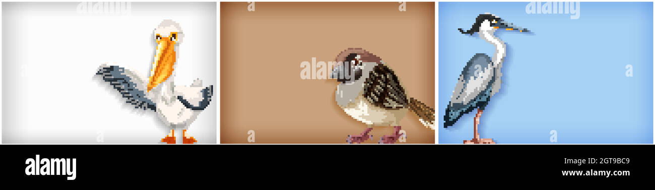 Hintergrund-Vorlage mit einfarbiger Farbe und verschiedenen Arten von Vögeln Stock Vektor