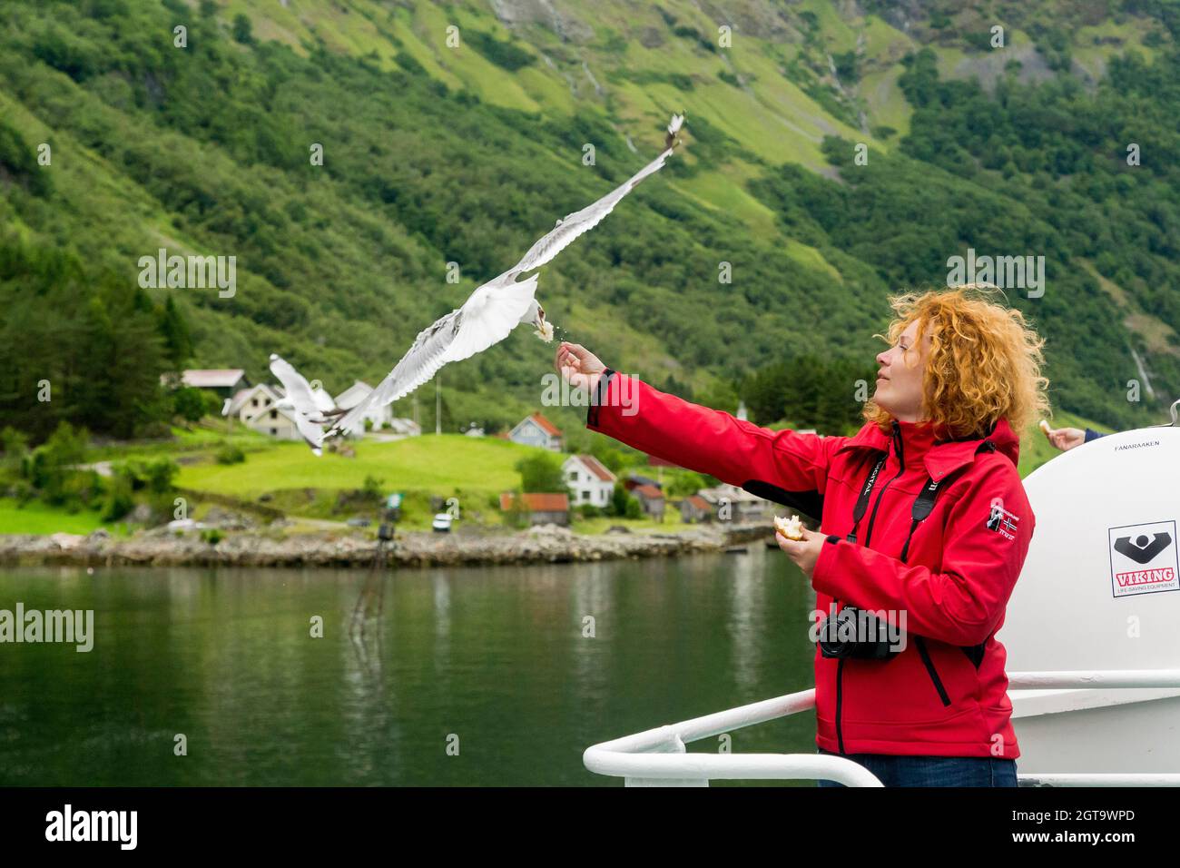 SOGNEFJORD, NORWEGEN - 3. JULI 2016: Unbekannte Frau füttert Möwen mit dem Fährdeck, das auf dem Fjord schwimmt. Stockfoto SOGNEFJORD, NORWEGEN - 3. JULI 2016: Unbekannte Frau füttert Möwen mit dem Fährdeck, das auf dem Fjord schwimmt. Stockfoto