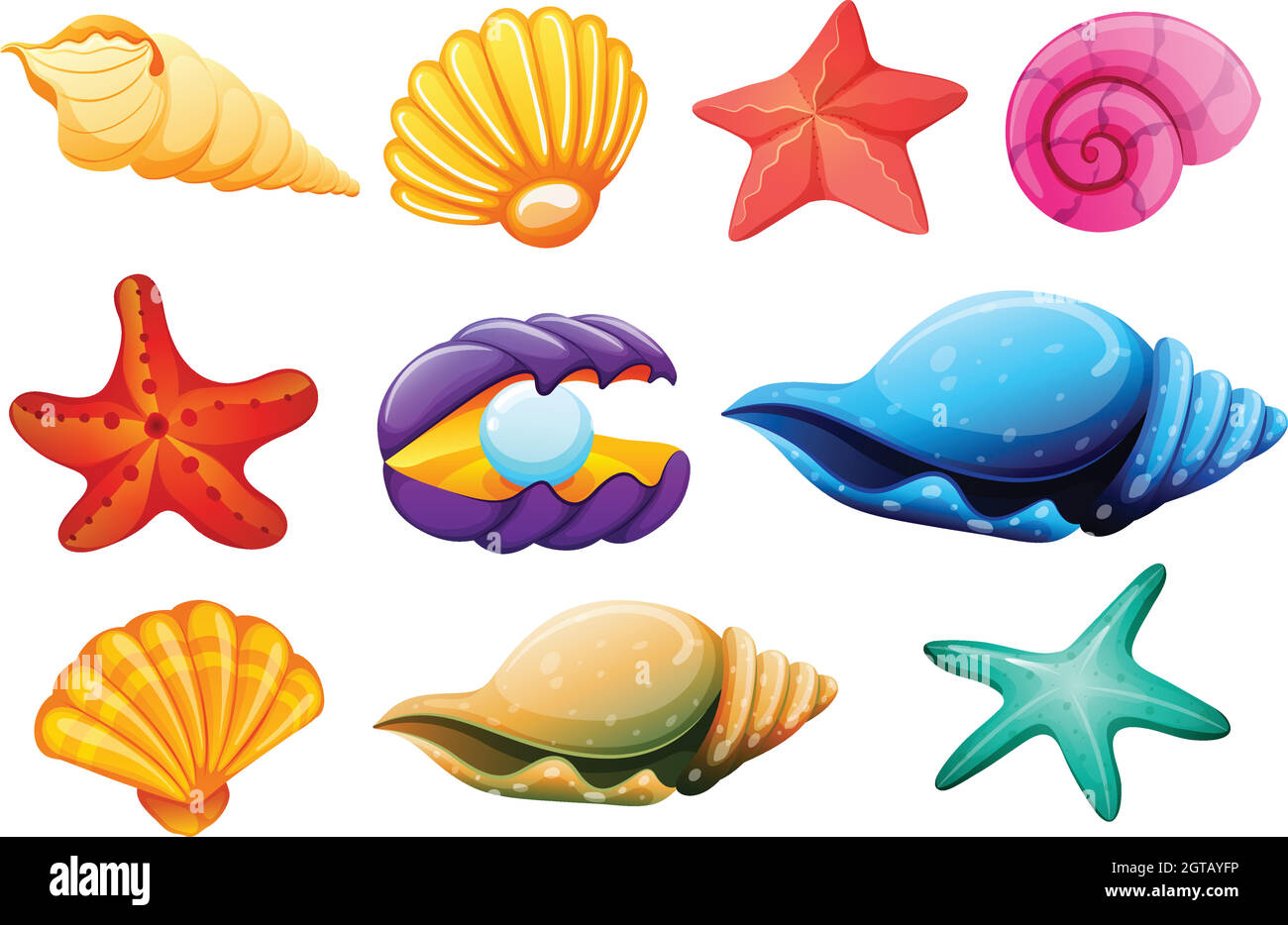 Shell Kollektion Stock Vektor