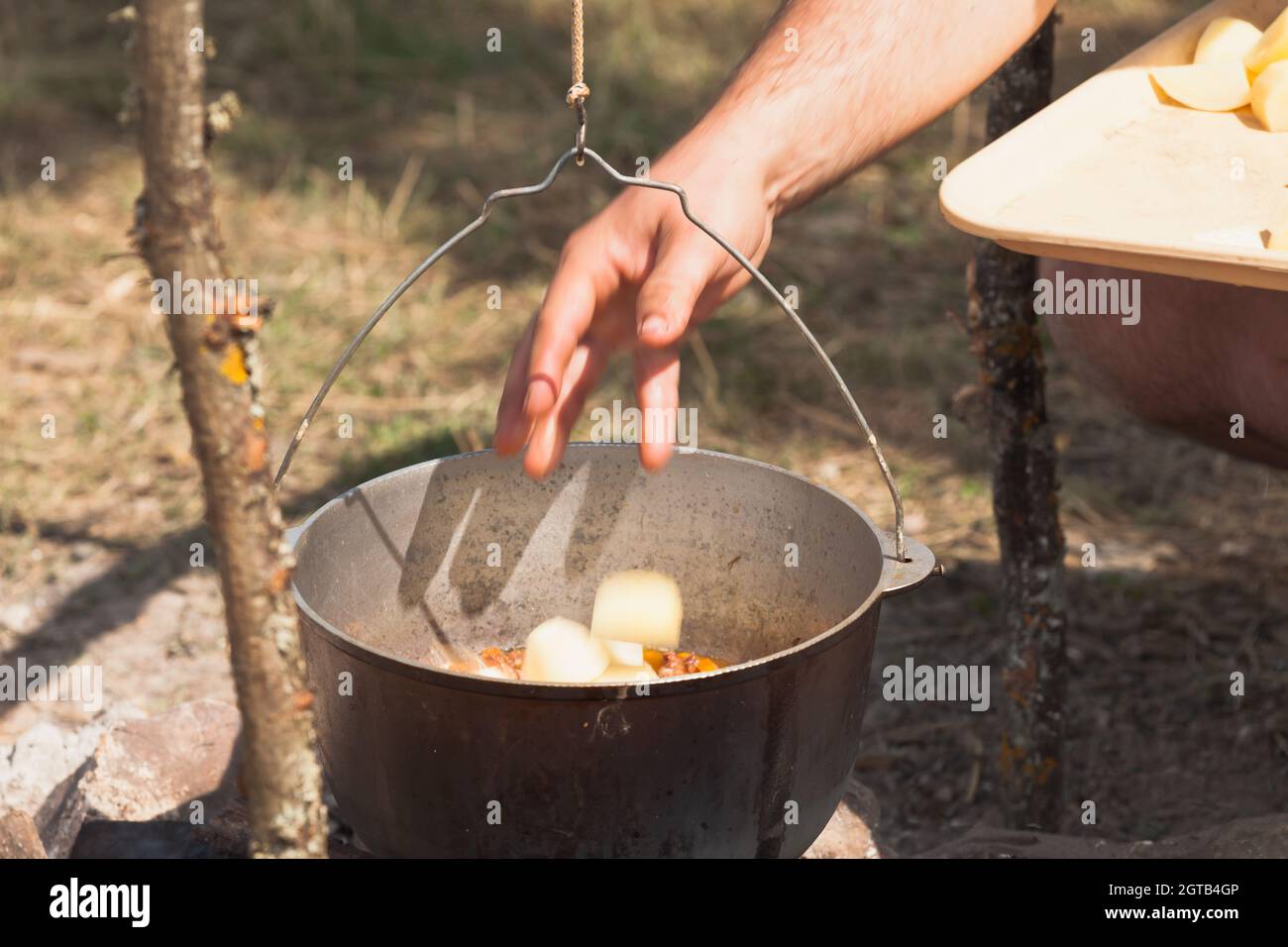 Männliche Hand tropft Kartoffeln in eine kochende Suppe. Kochen mit Kessel auf offenem Feuer, Campingmenü Stockfoto