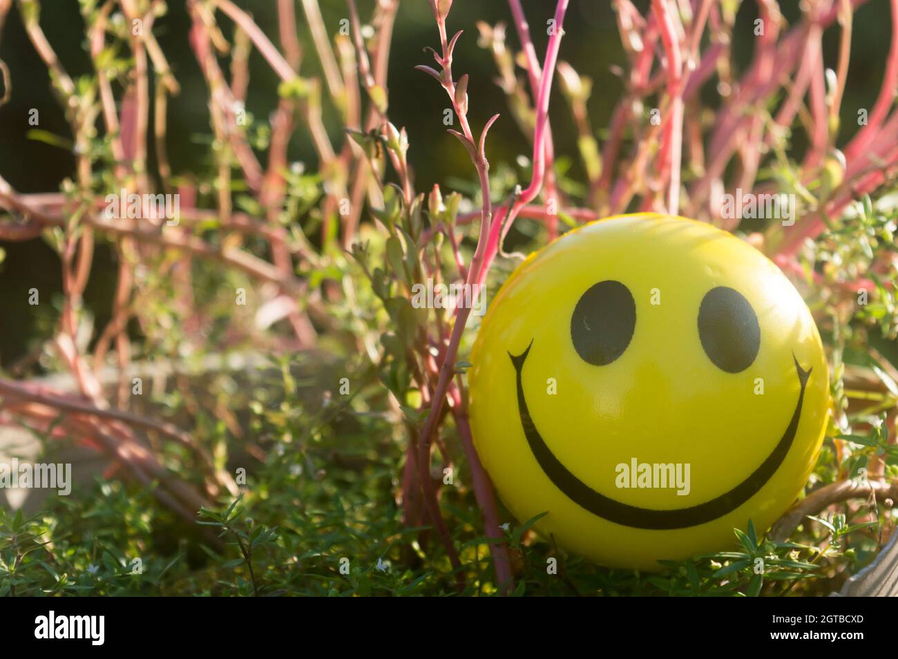 Nahaufnahme Emoji Zeichen Smiley Gesicht eines Squeeze Ball Mund, die ein Symbol des Glücks, auf Pflanzen und Natur Hintergrund platziert. Vorderansicht. Glücklich s Stockfoto