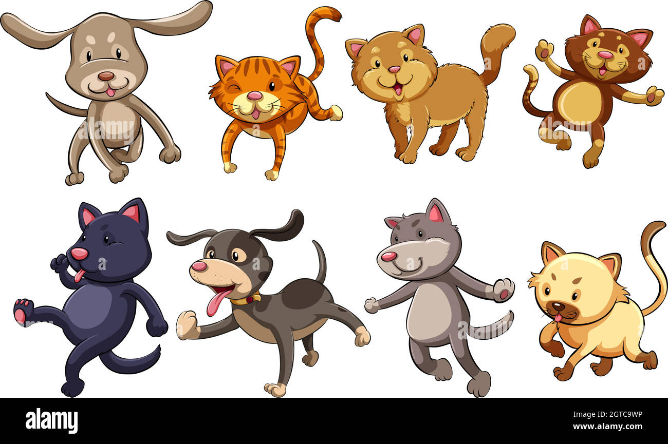 Eine Gruppe verspielter Katzen und Hunde Stock Vektor
