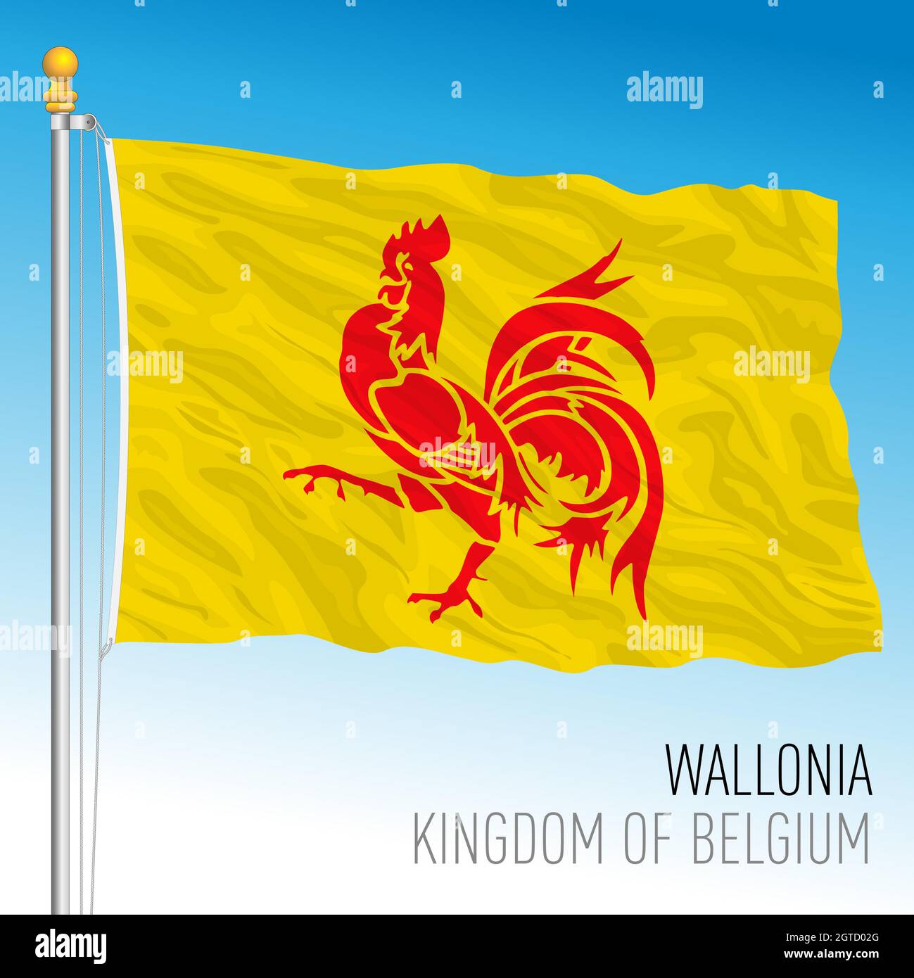 Wallonische Regionalflagge, Königreich Belgien, Vektorgrafik Stock Vektor