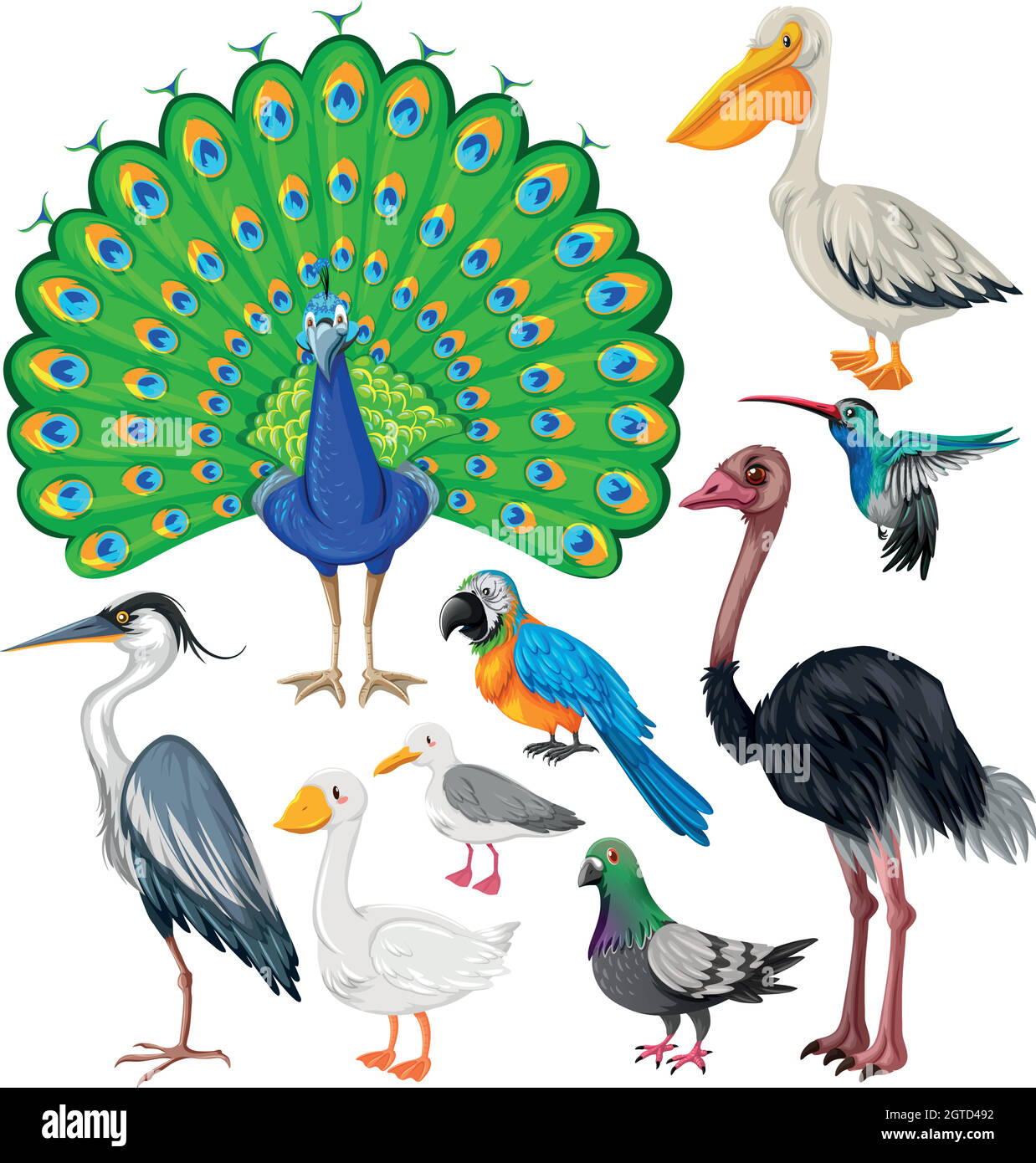 Verschiedene Arten von Wildvögeln Stock Vektor