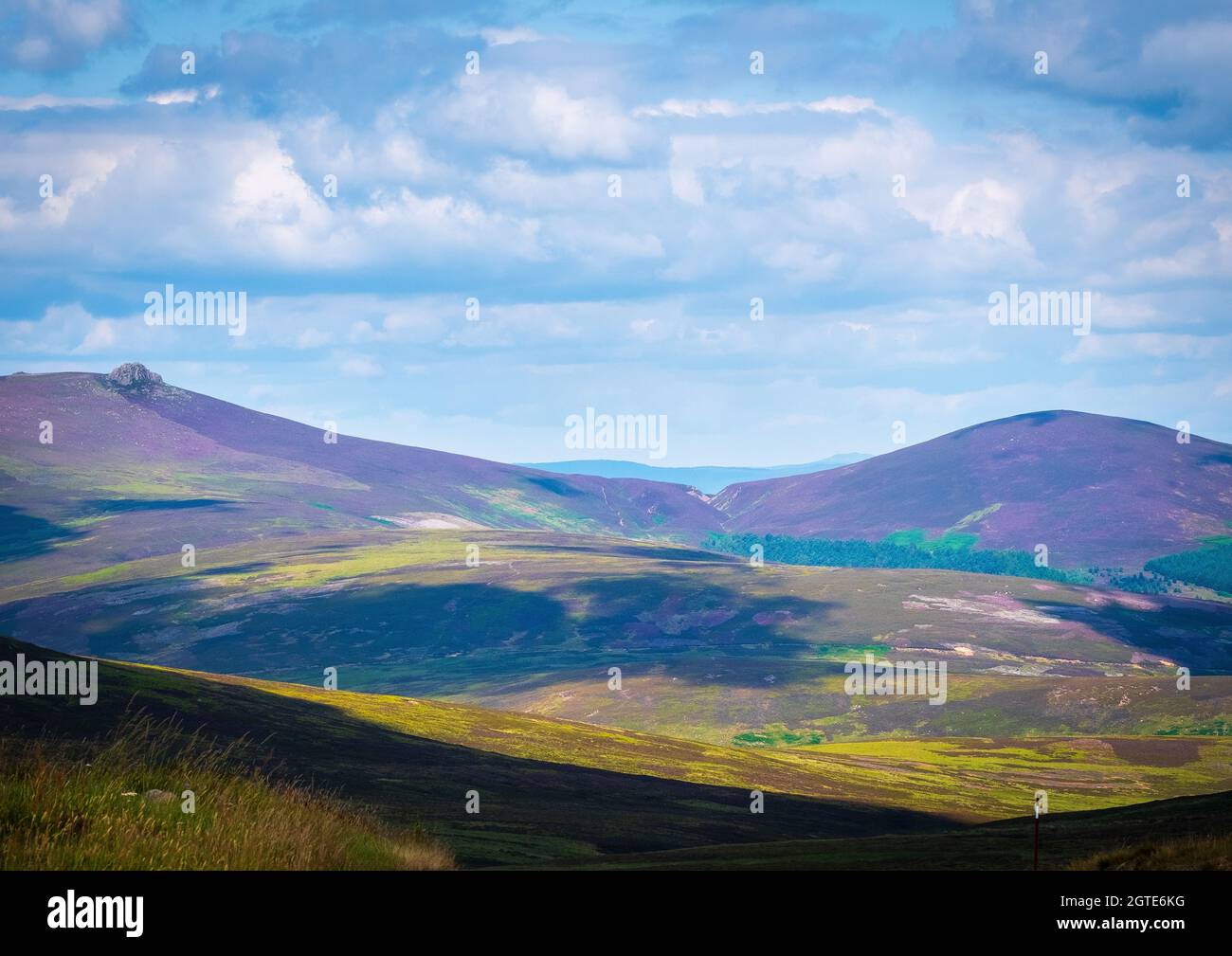 Blick auf die violetten Heidehügel von Cairn O' Mounth, einem Bergpass über die Cairngorms zwischen Fettercairn und Banchory in Aberdeenshire, Schottland Stockfoto